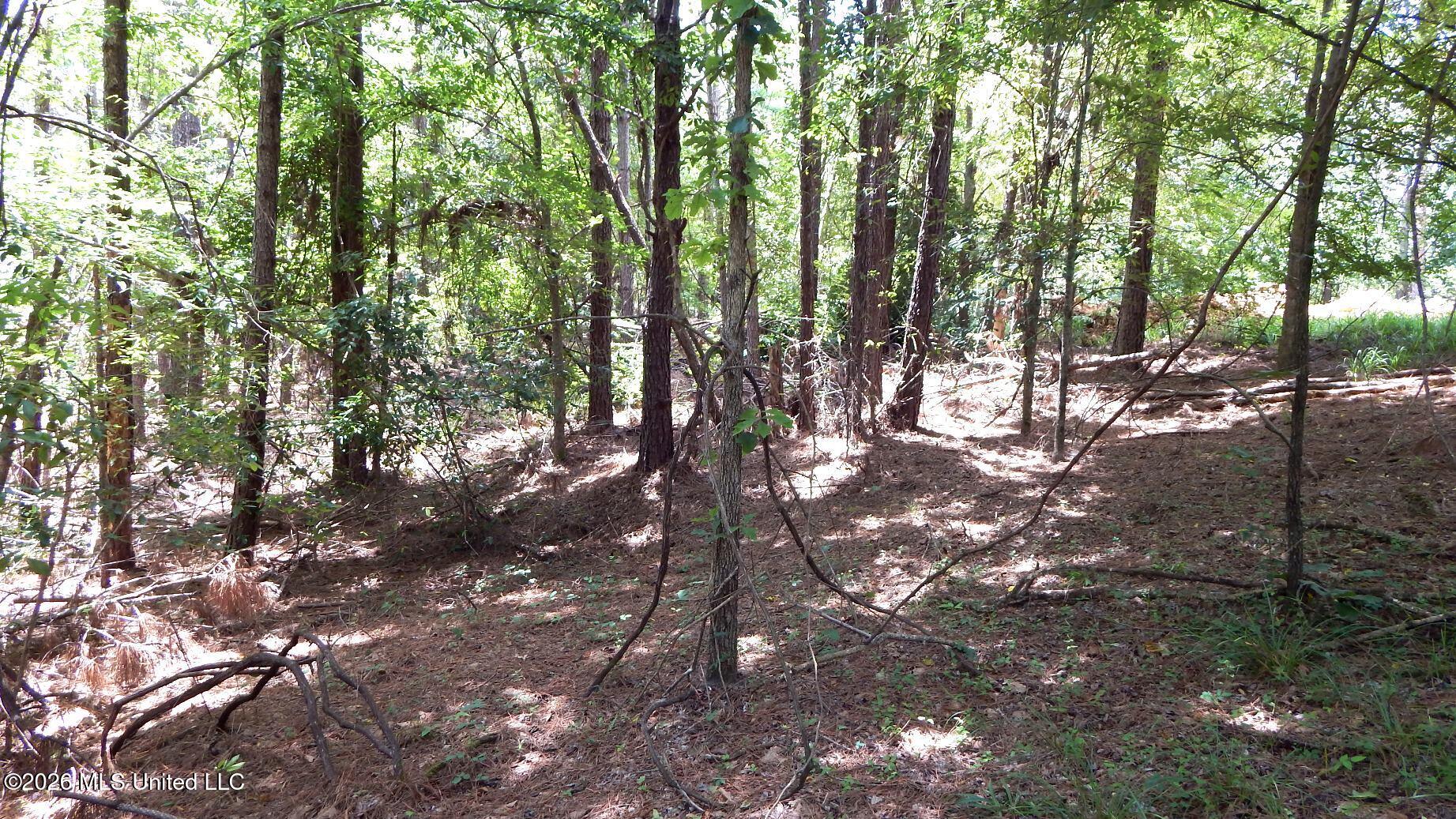 84 Cr 154 Property Photo 6
