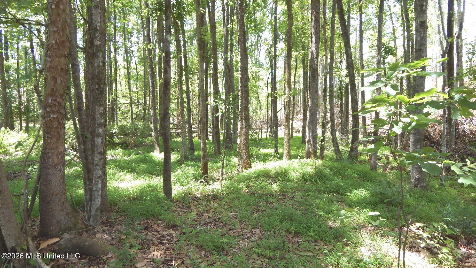 84 Cr 154 Property Photo 7