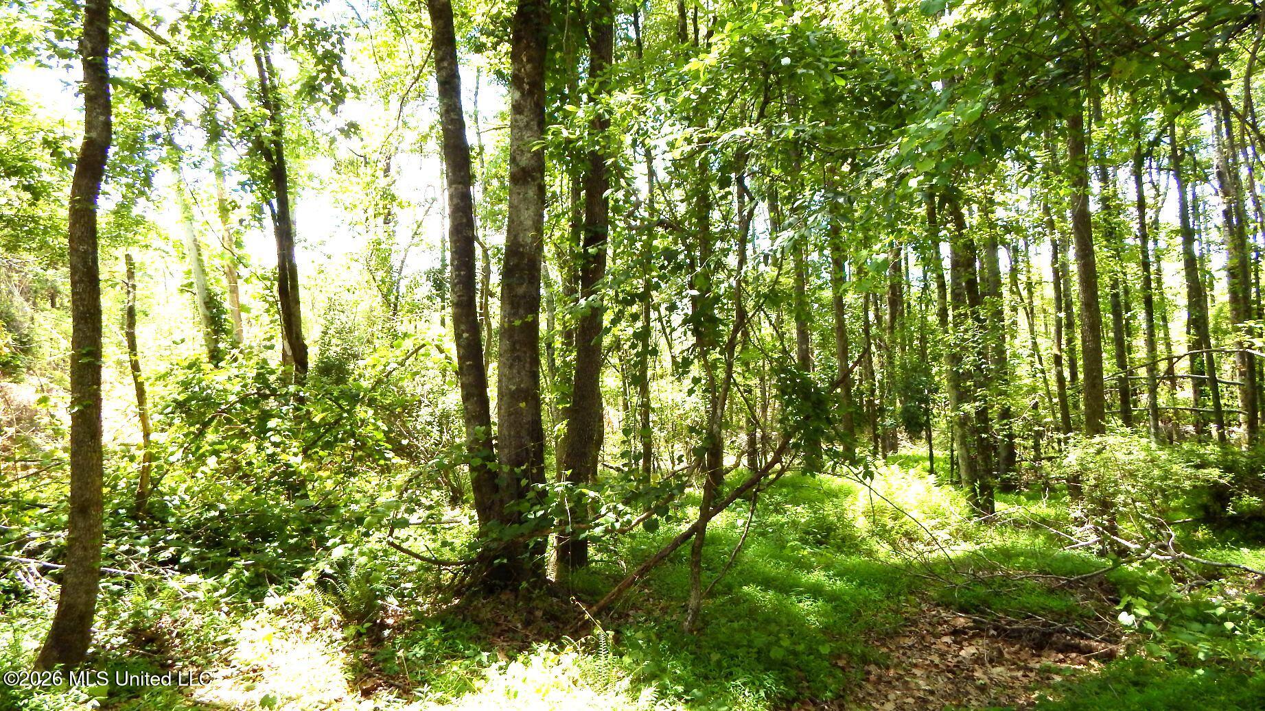 84 Cr 154 Property Photo 8