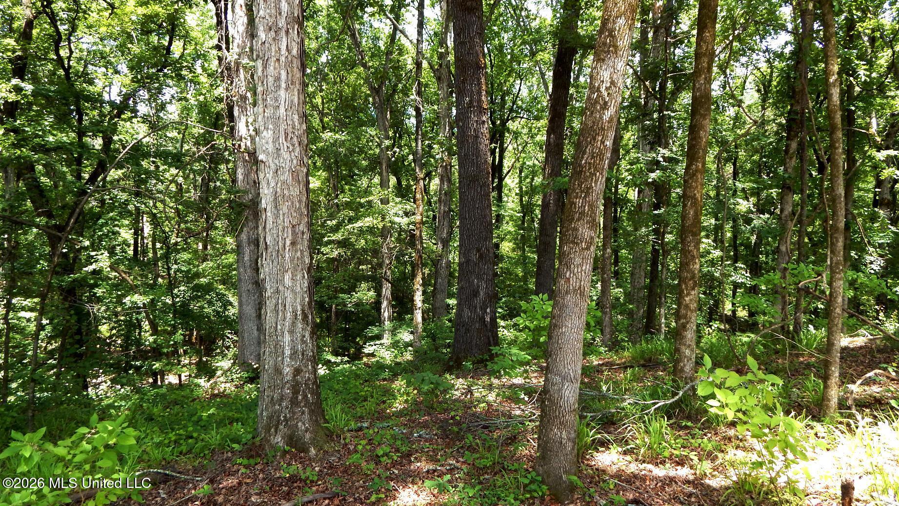 84 Cr 154 Property Photo 13