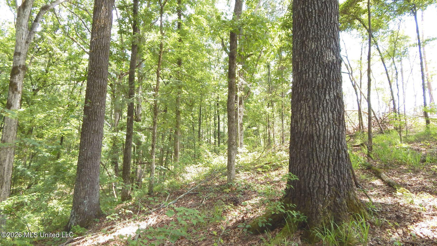 84 Cr 154 Property Photo 18