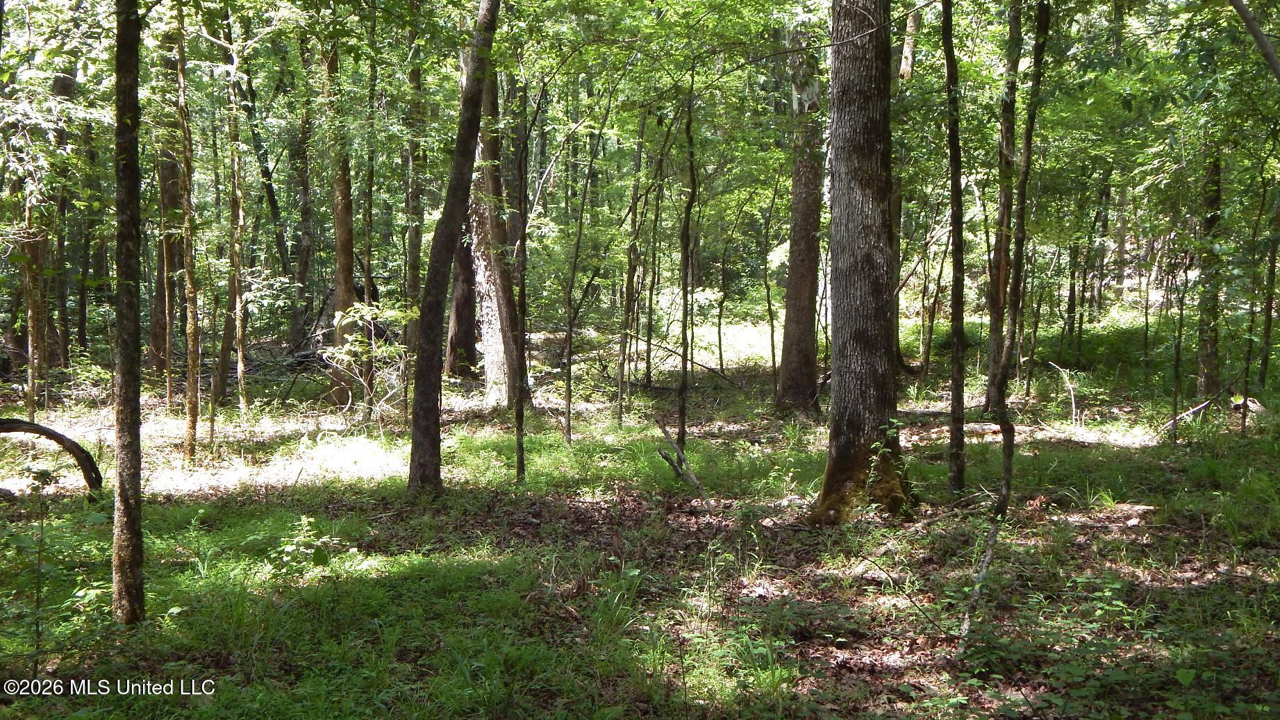 84 Cr 154 Property Photo 19