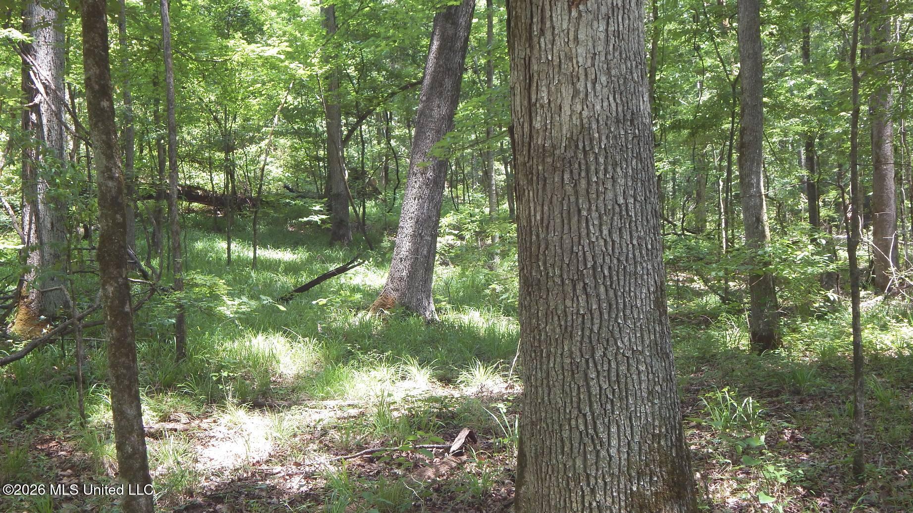 84 Cr 154 Property Photo 21