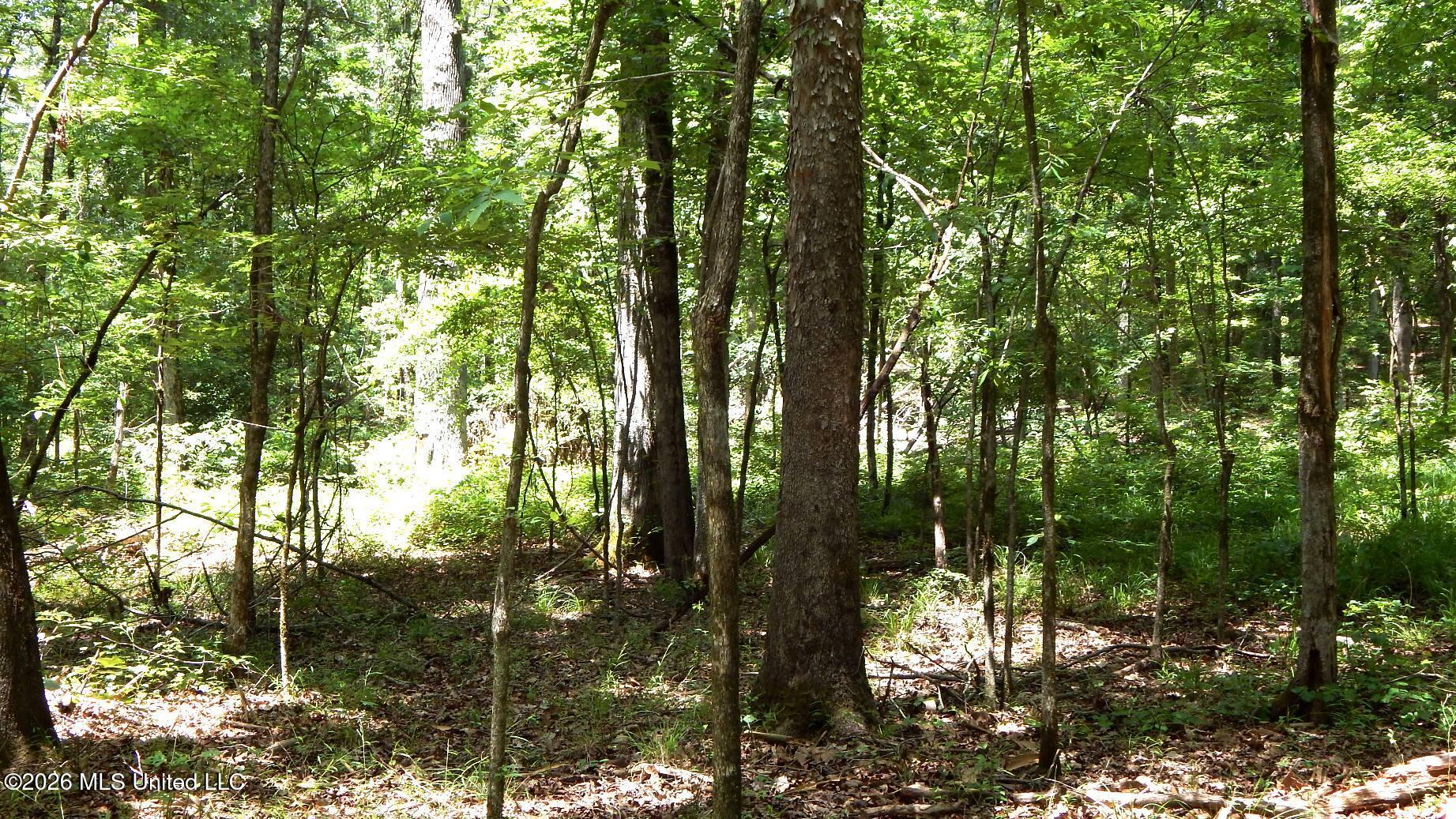 84 Cr 154 Property Photo 22