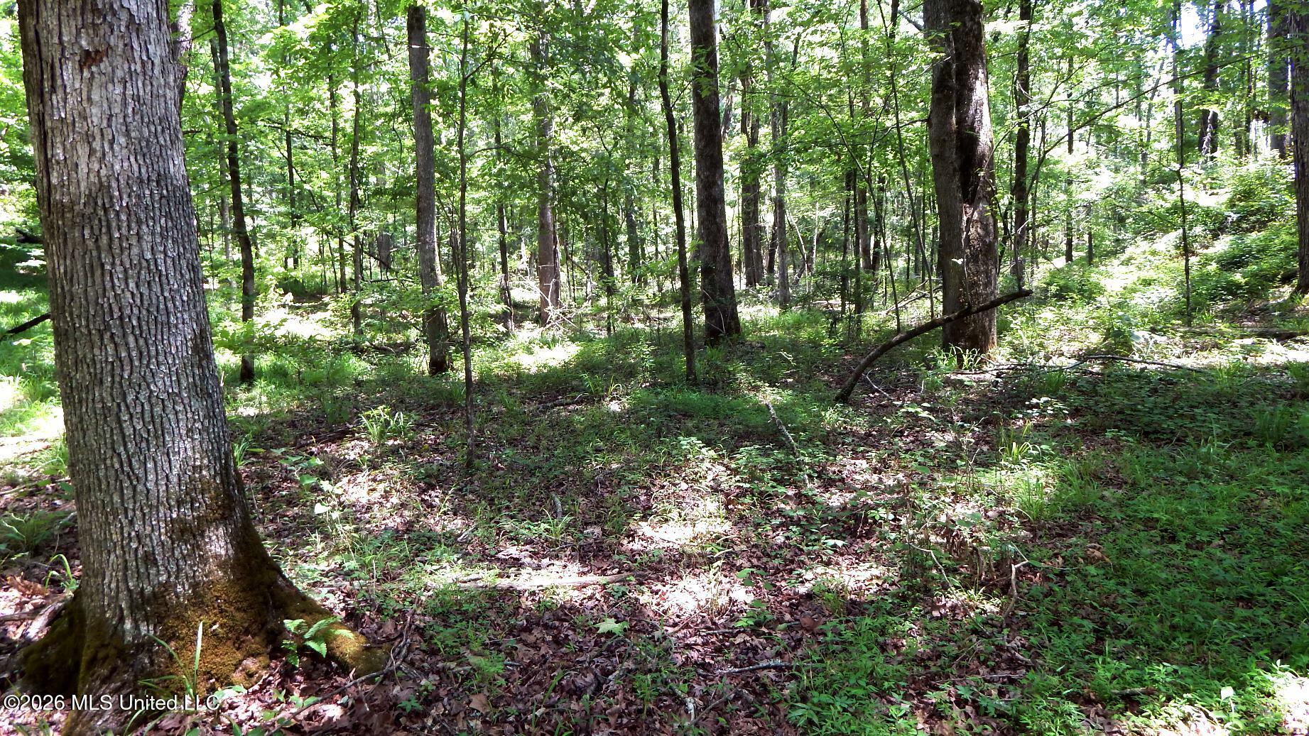 84 Cr 154 Property Photo 23