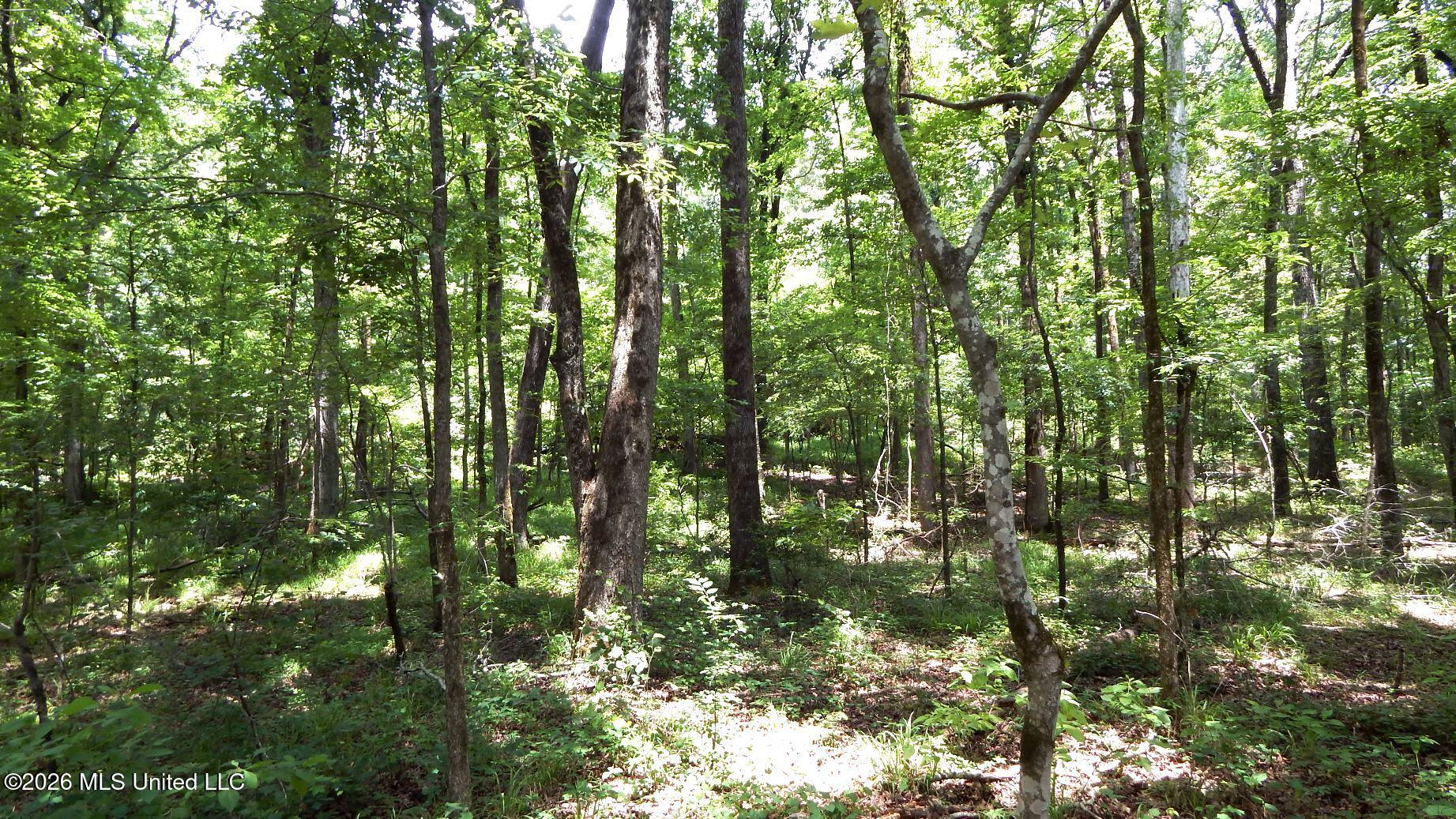 84 Cr 154 Property Photo 24