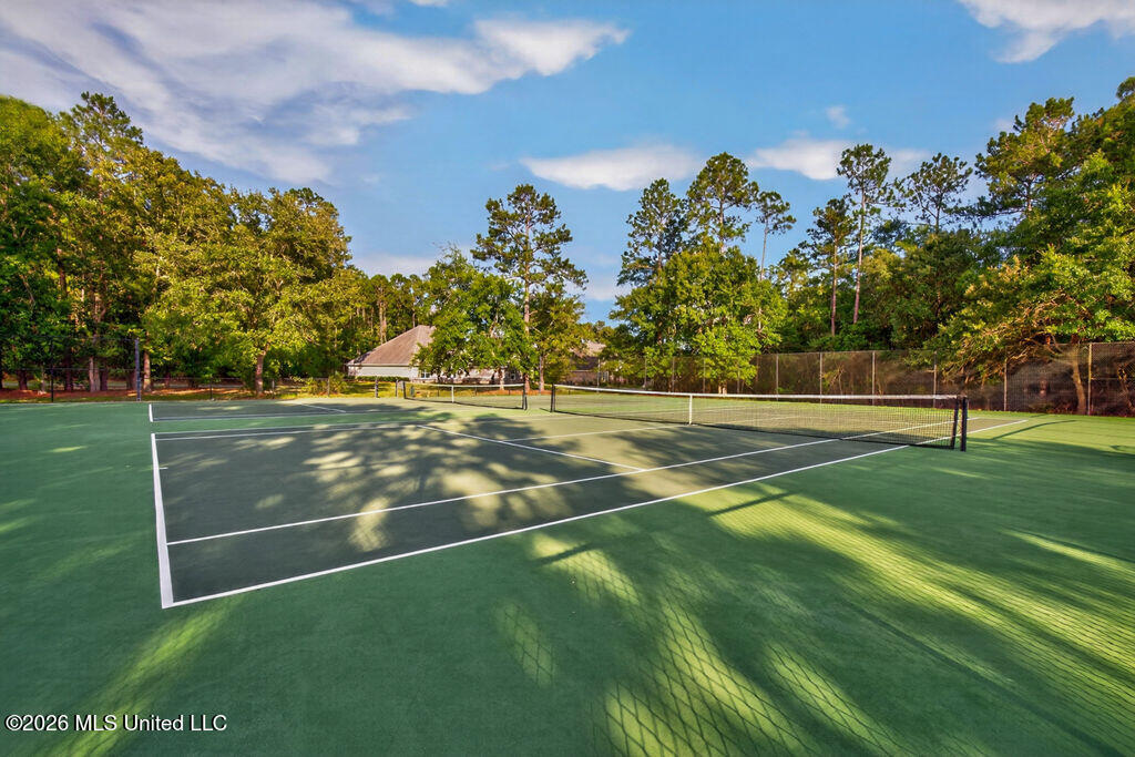 6855 Rolling Green Drive Property Photo 49