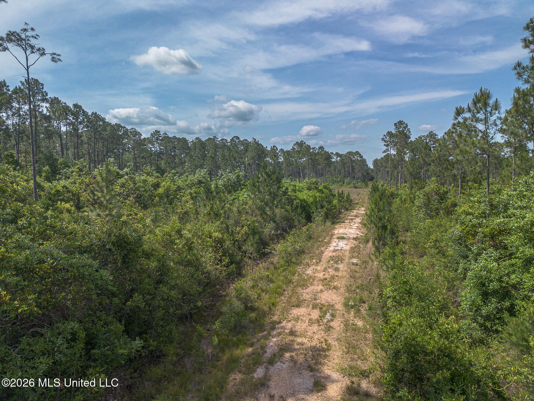 Elmer Ladner Road Property Photo 3