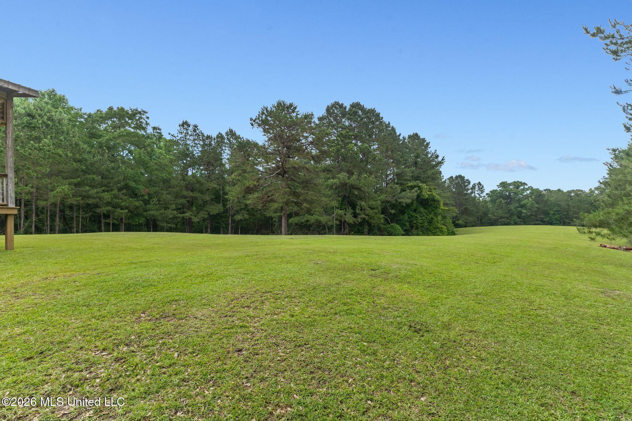 33 Mcmahan Cutoff Road Property Photo 70