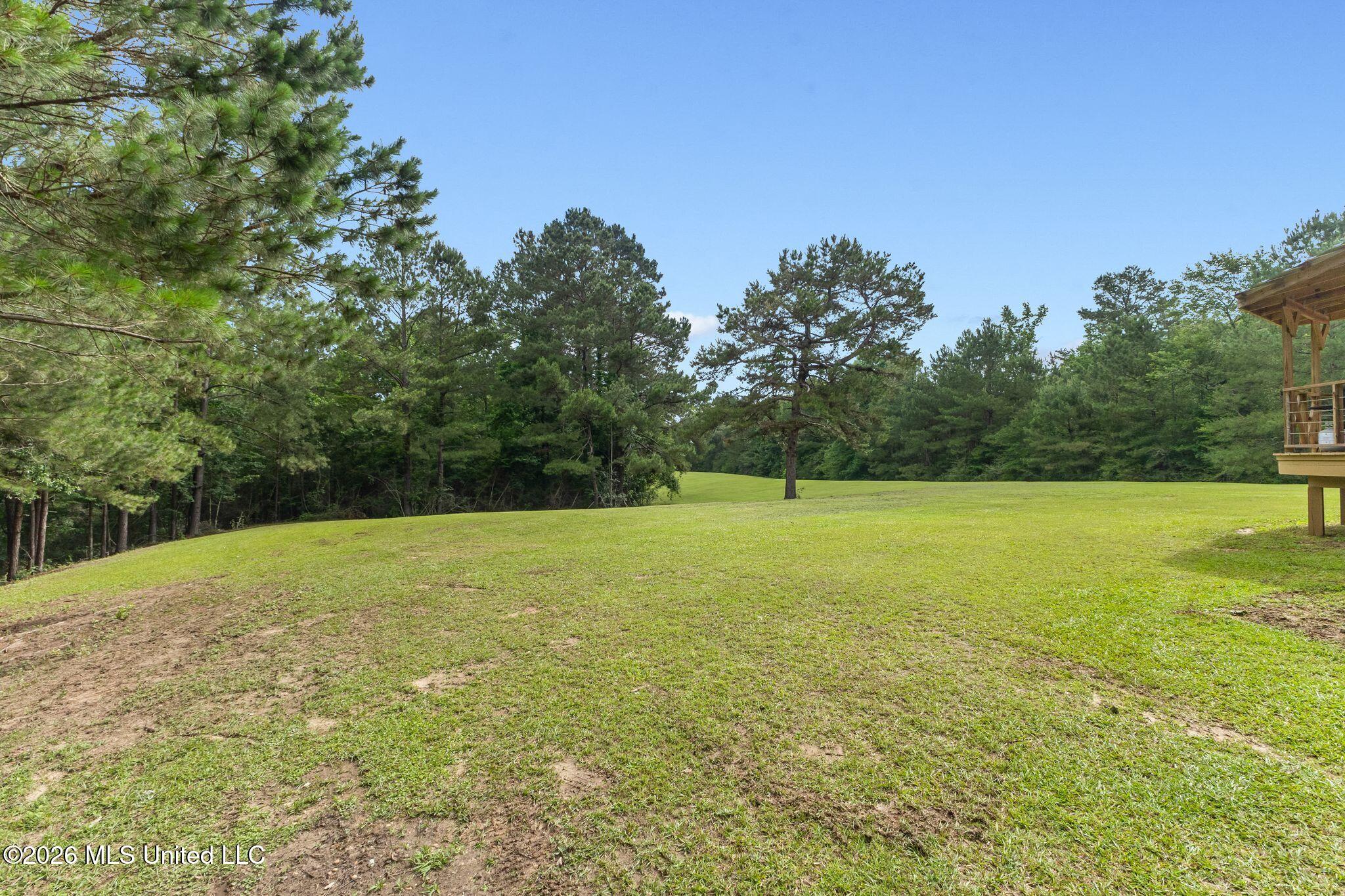 33 Mcmahan Cutoff Road Property Photo 73
