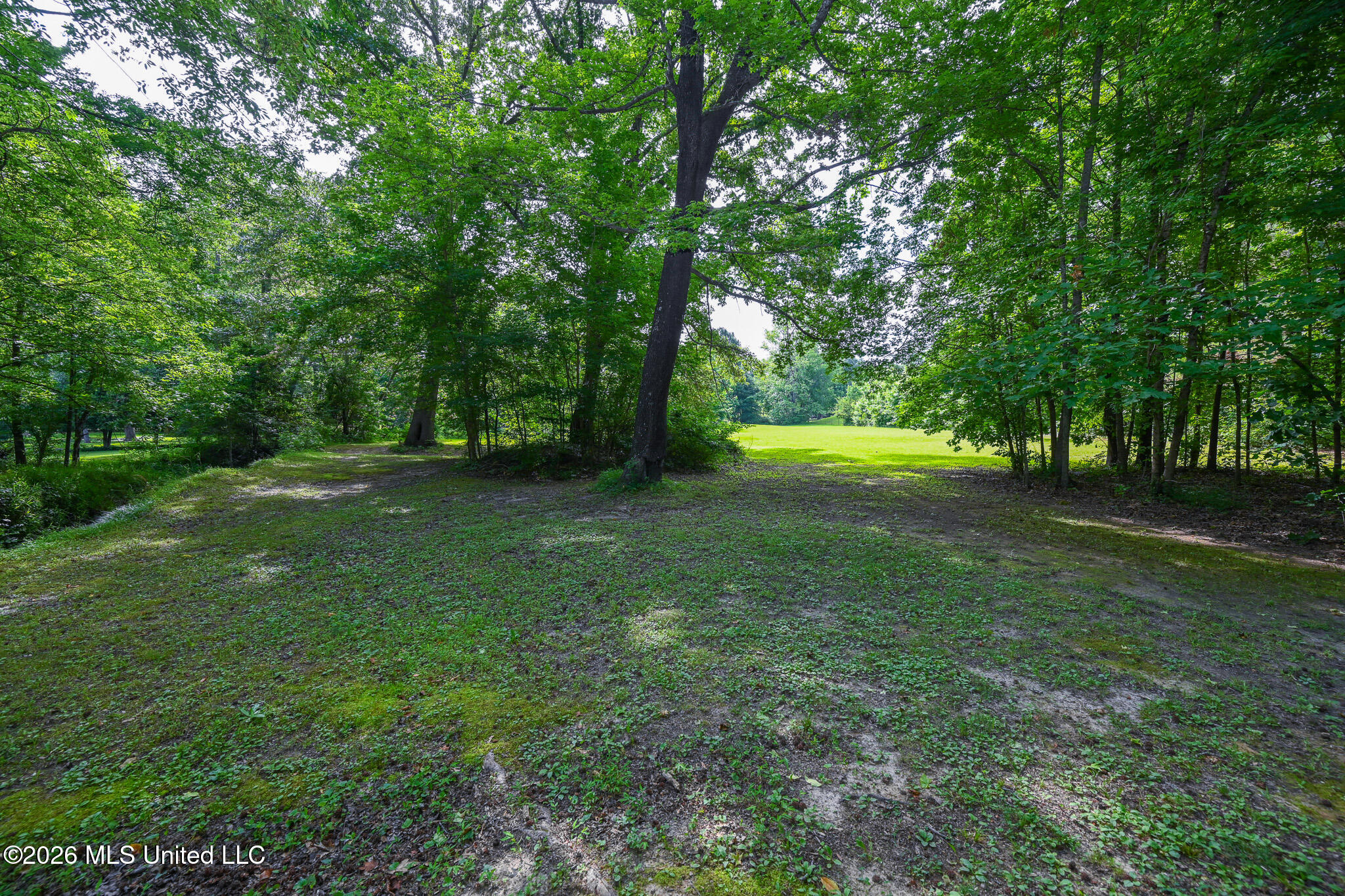 5805 S Manor Cove Property Photo 78