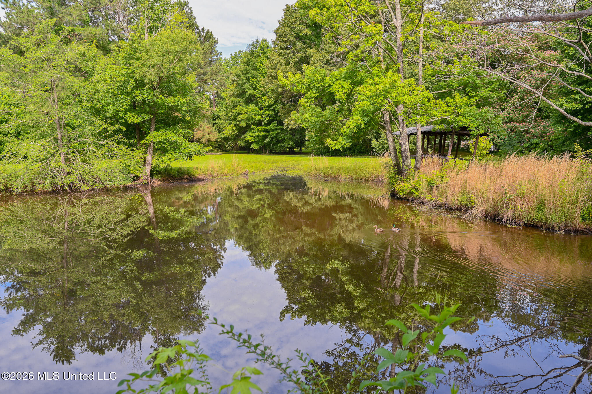 5805 S Manor Cove Property Photo 86
