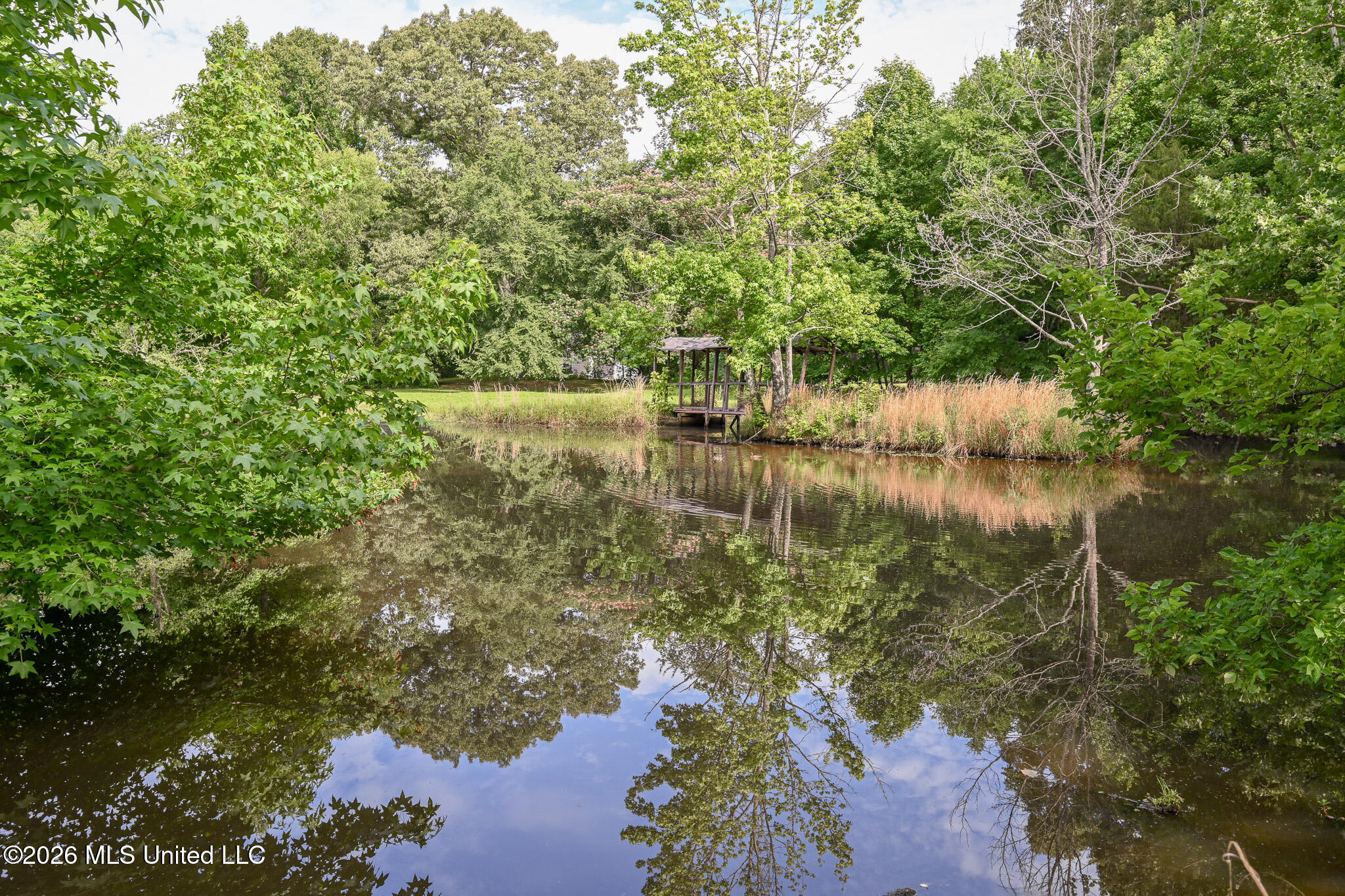 5805 S Manor Cove Property Photo 87