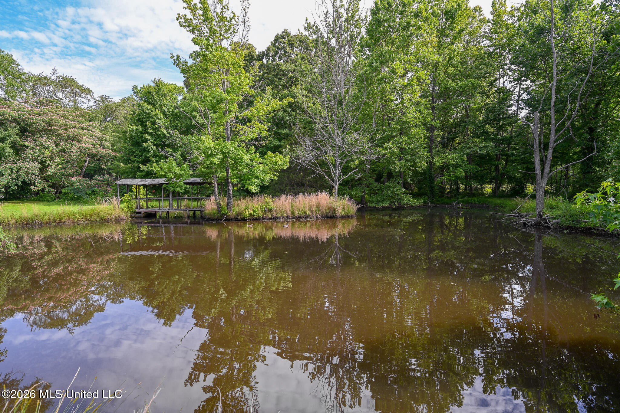 5805 S Manor Cove Property Photo 89