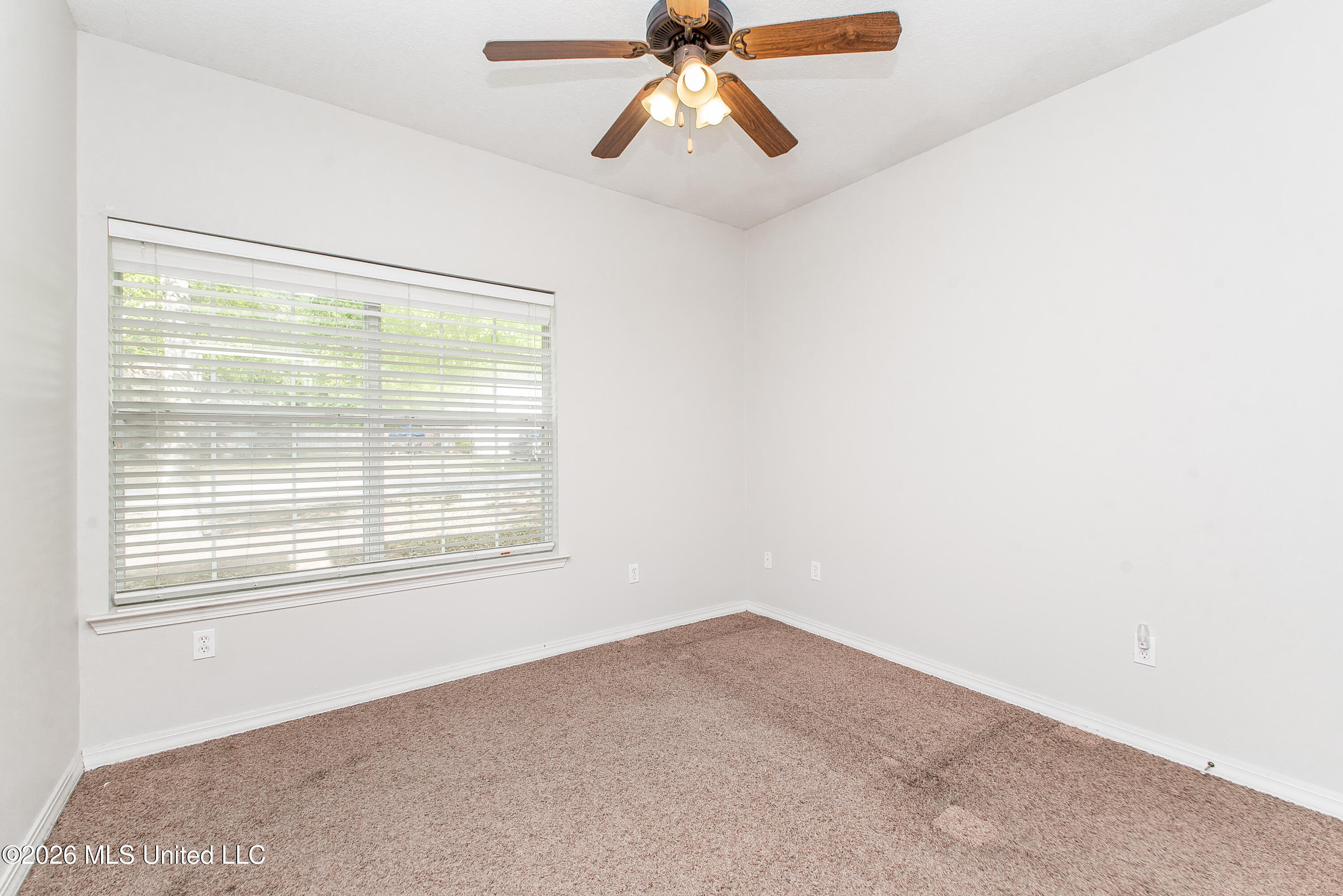 4 Maroon Drive Property Photo 29