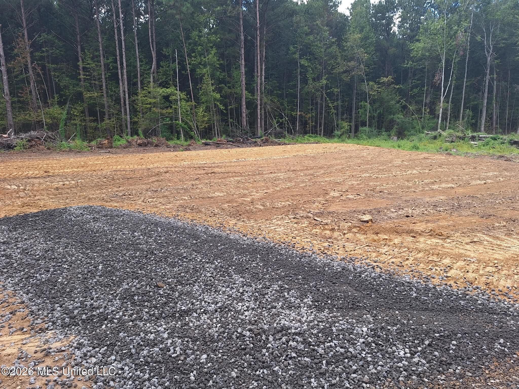 709 Old Pinola Braxton Road Property Photo 2