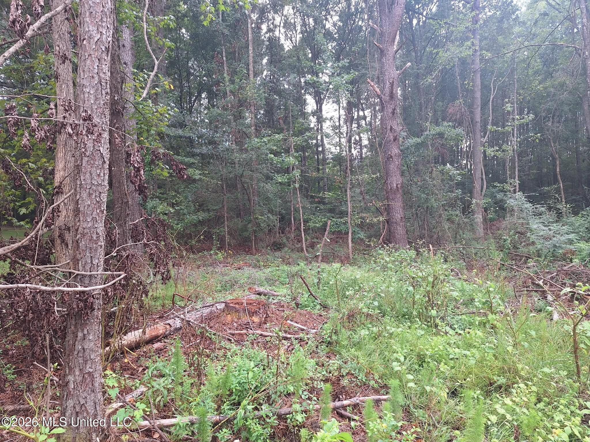 709 Old Pinola Braxton Road Property Photo 9