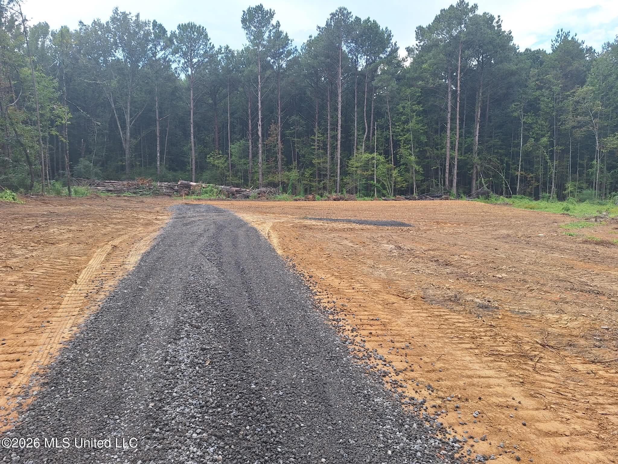 709 Old Pinola Braxton Road Property Photo 15