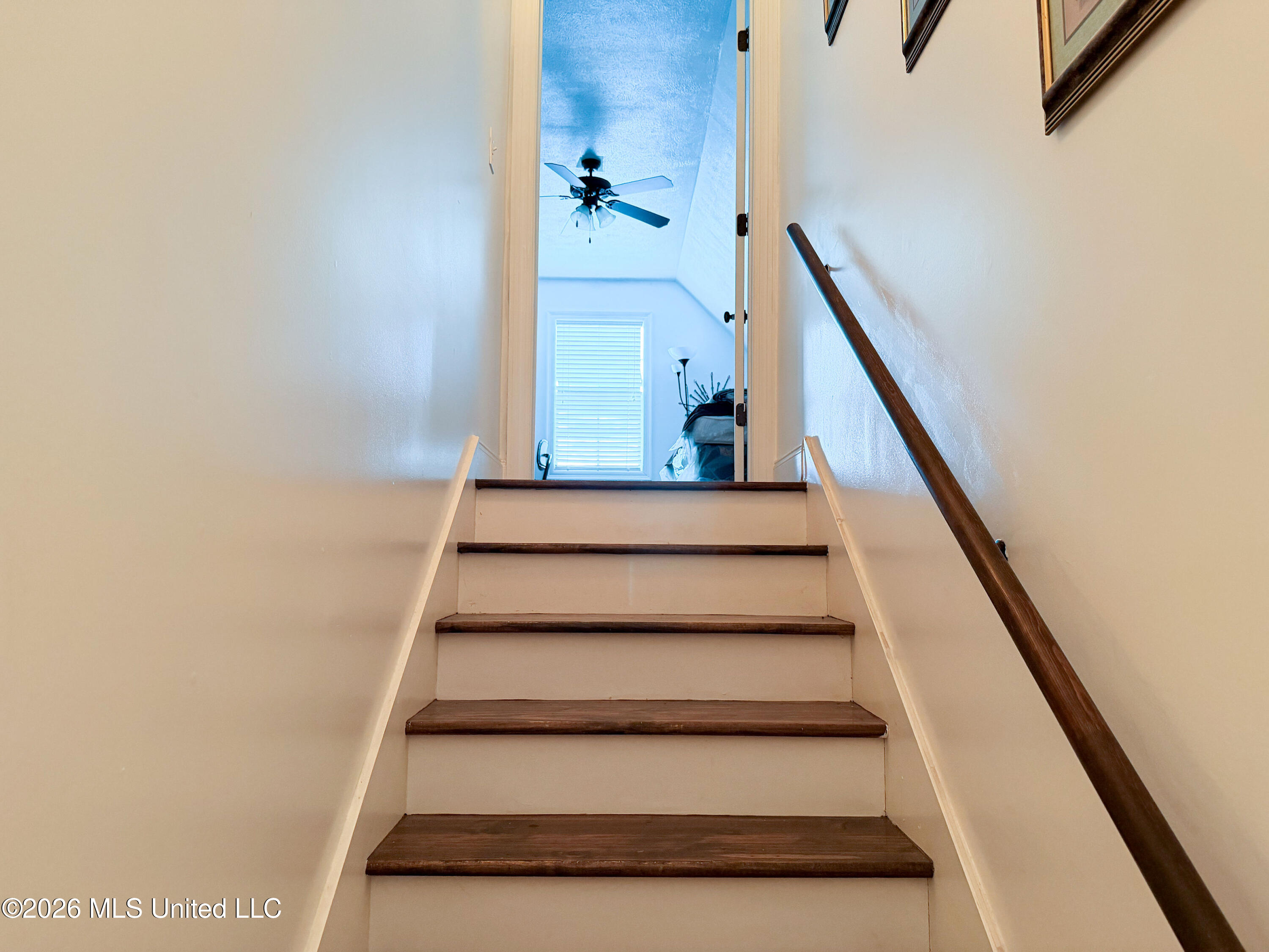 105 Winchester Cove Property Photo 26