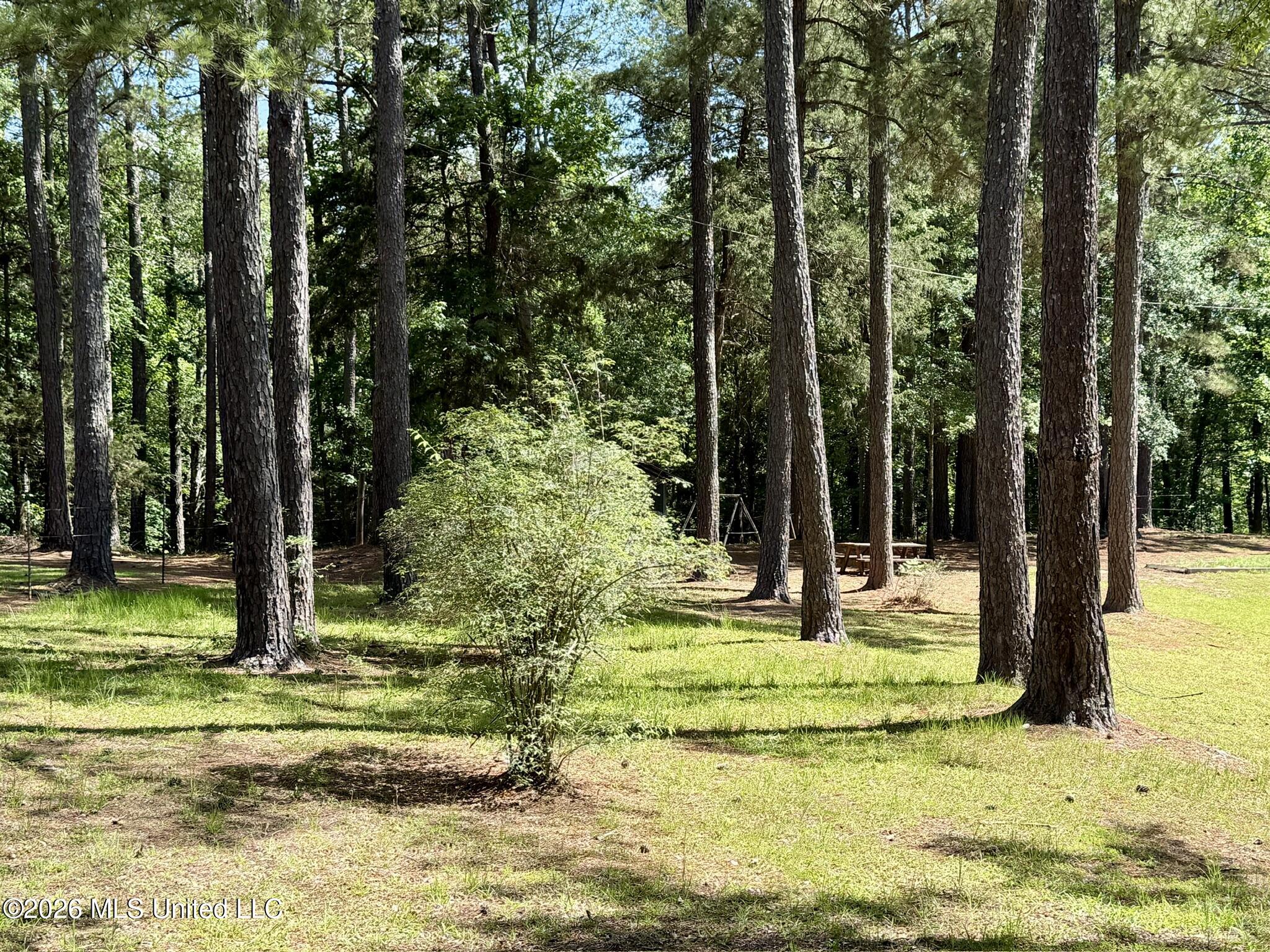 11036 Attala Road 4202 Property Photo 8