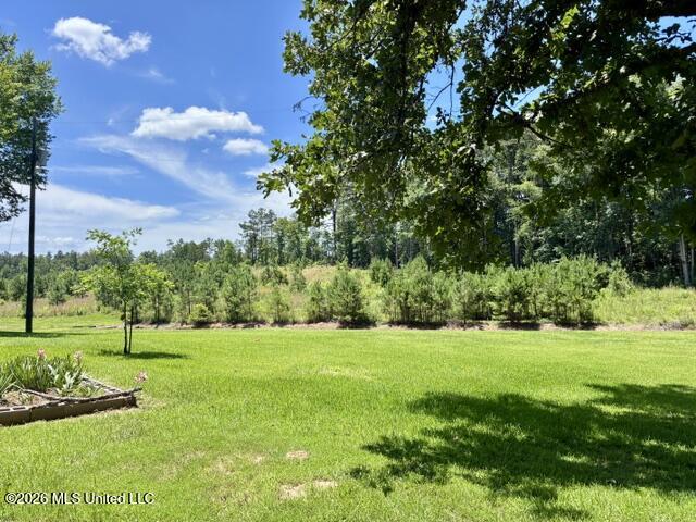 2262 Attala Road 3023 Property Photo 9