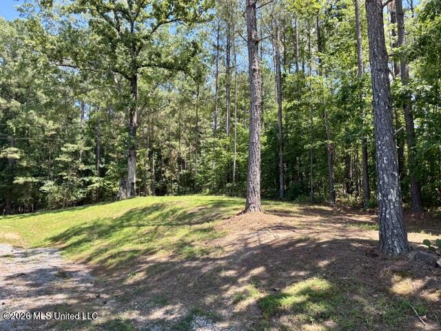2262 Attala Road 3023 Property Photo 38