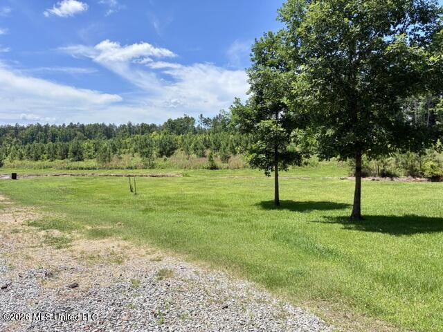 2262 Attala Road 3023 Property Photo 39