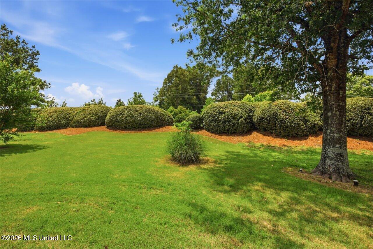 115 Camden Court Property Photo 45