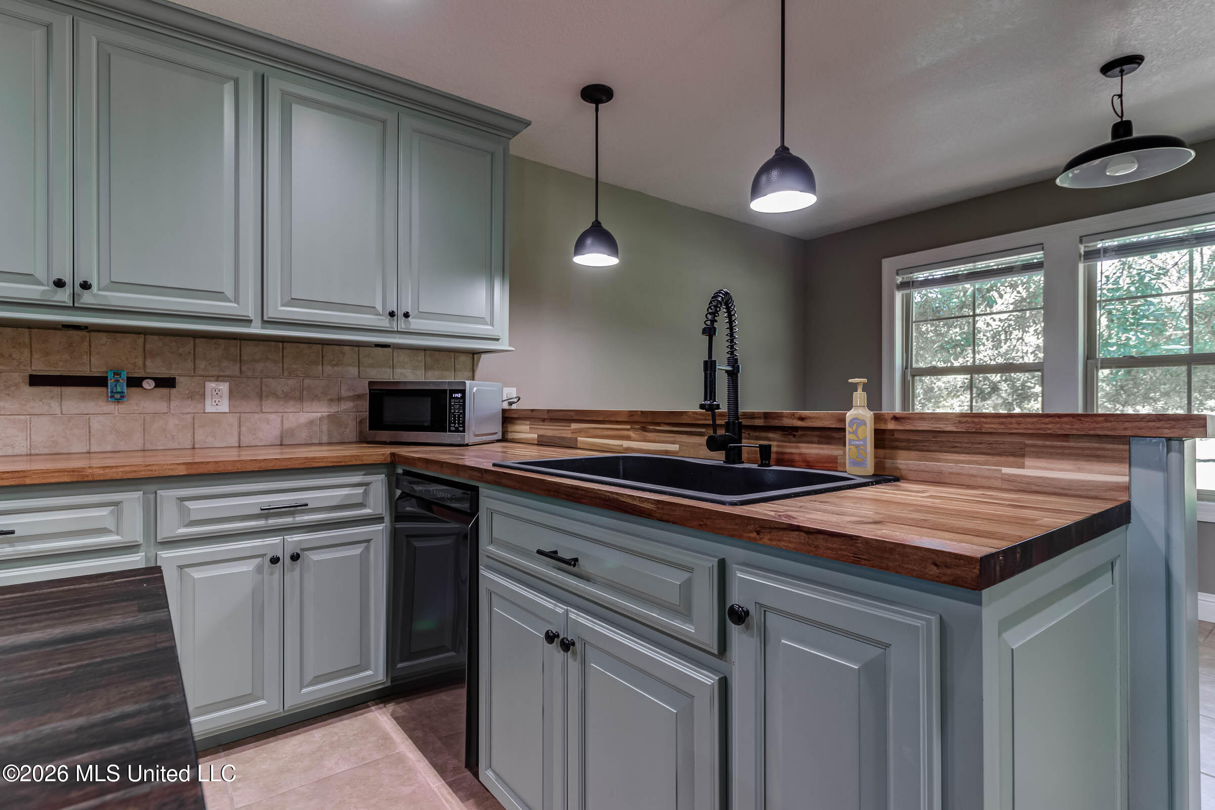 17242 E Spring Lake Drive Property Photo 3
