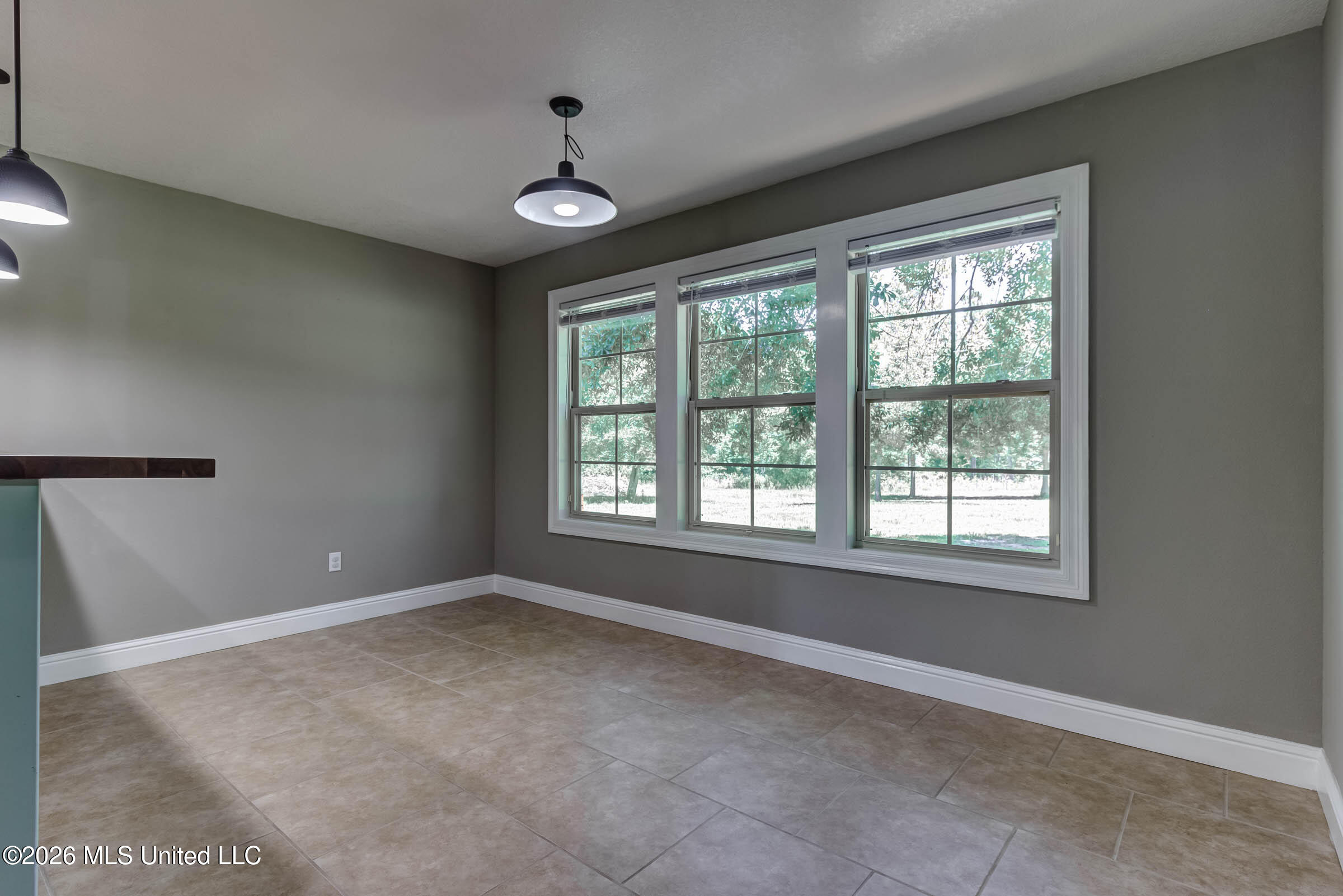 17242 E Spring Lake Drive Property Photo 10