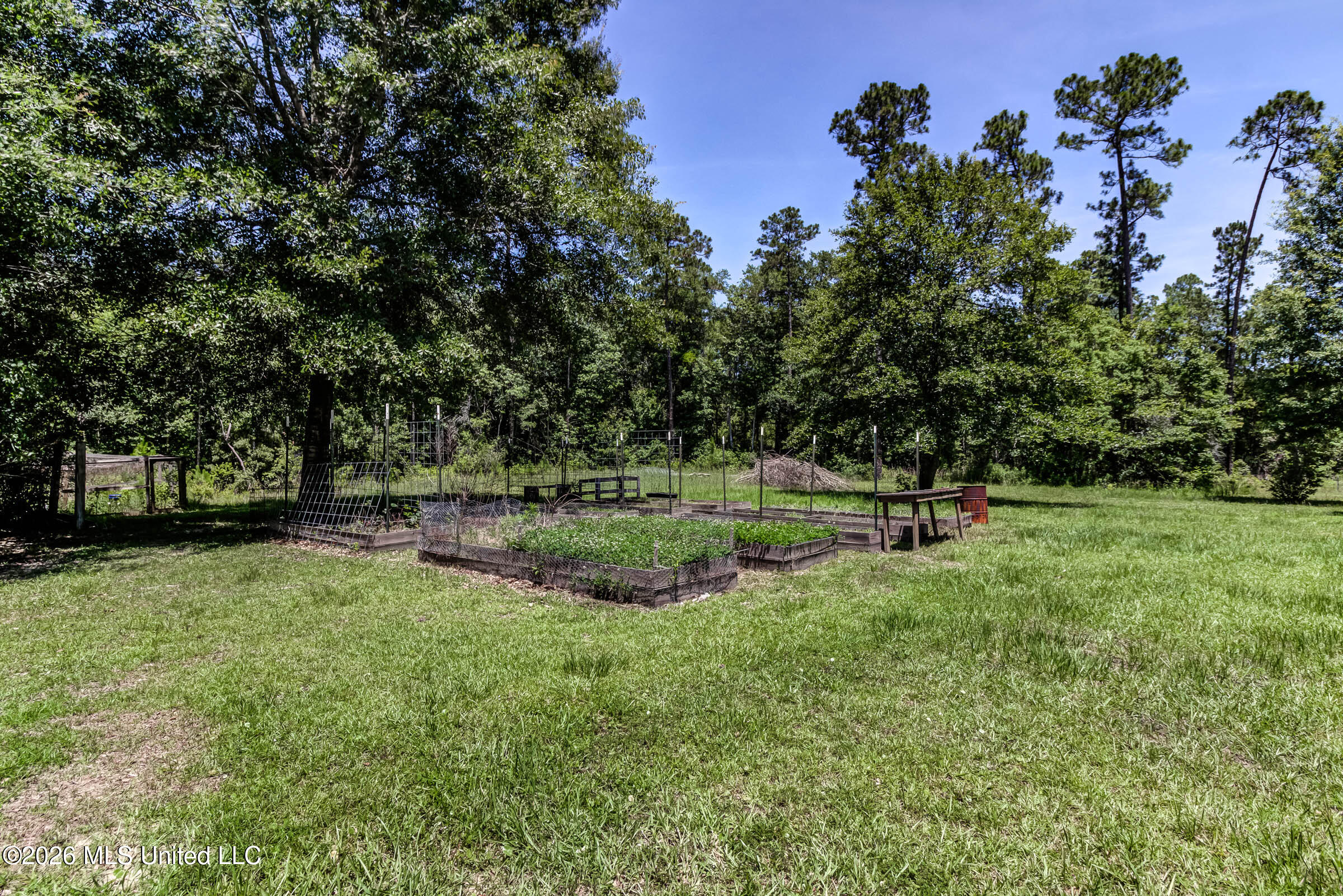 17242 E Spring Lake Drive Property Photo 60