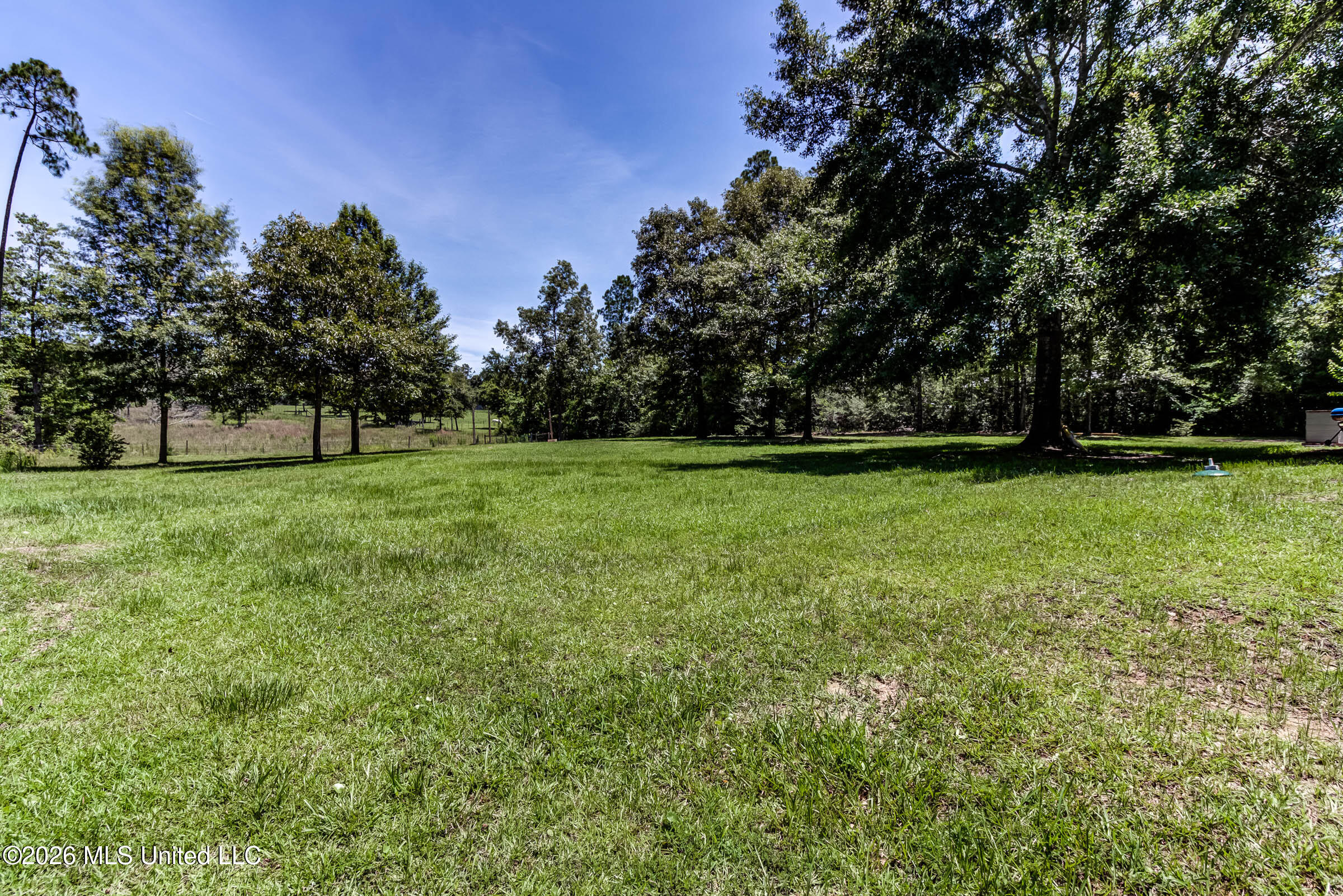 17242 E Spring Lake Drive Property Photo 62