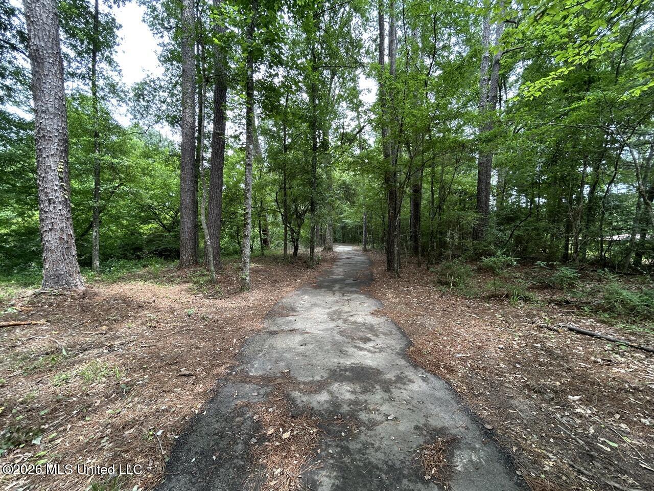 6642 Grange Hall Road Property Photo 1