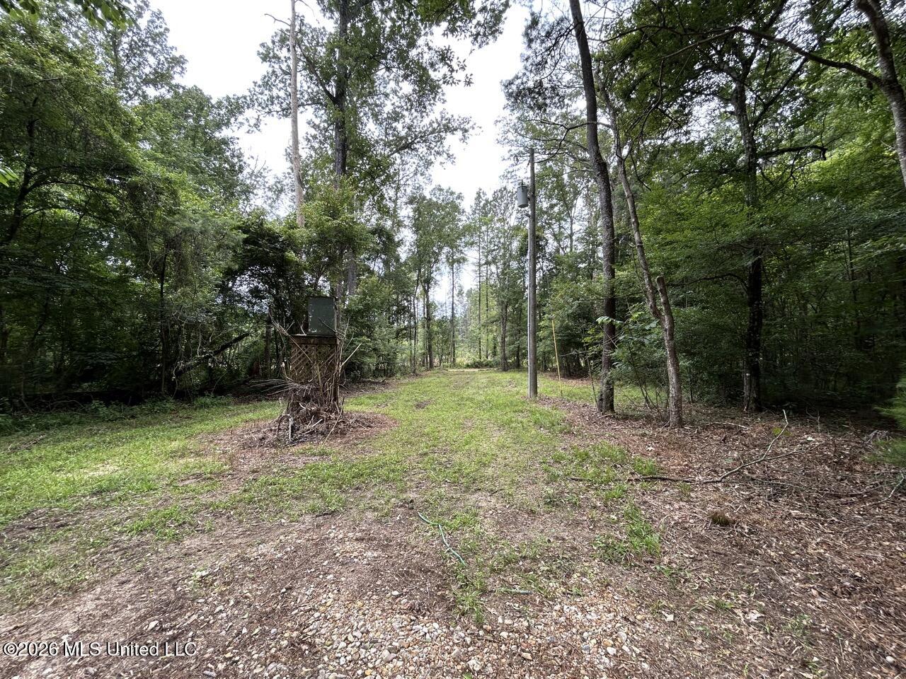 6642 Grange Hall Road Property Photo 6