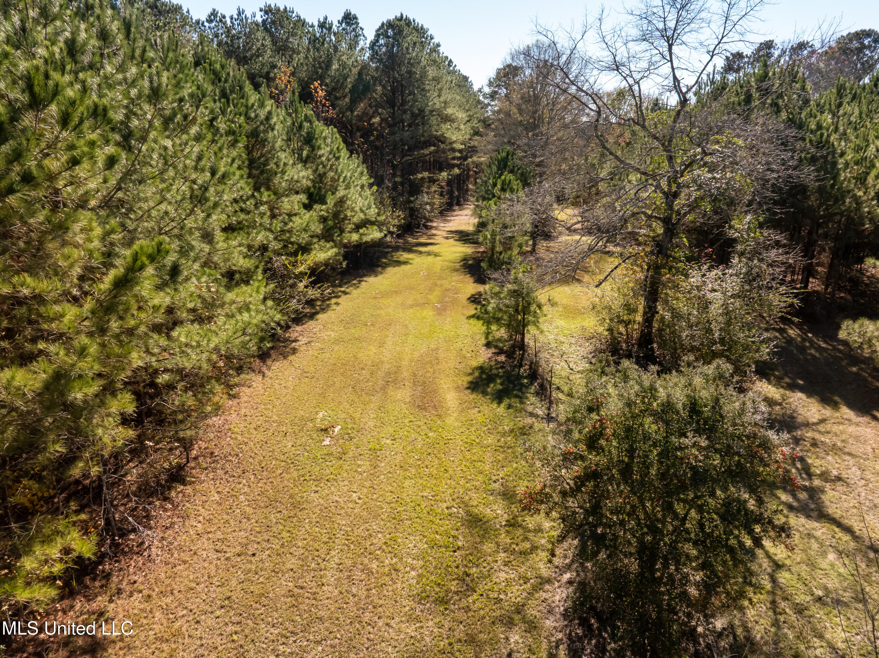 5844 N Williamsburg Road Property Photo 83
