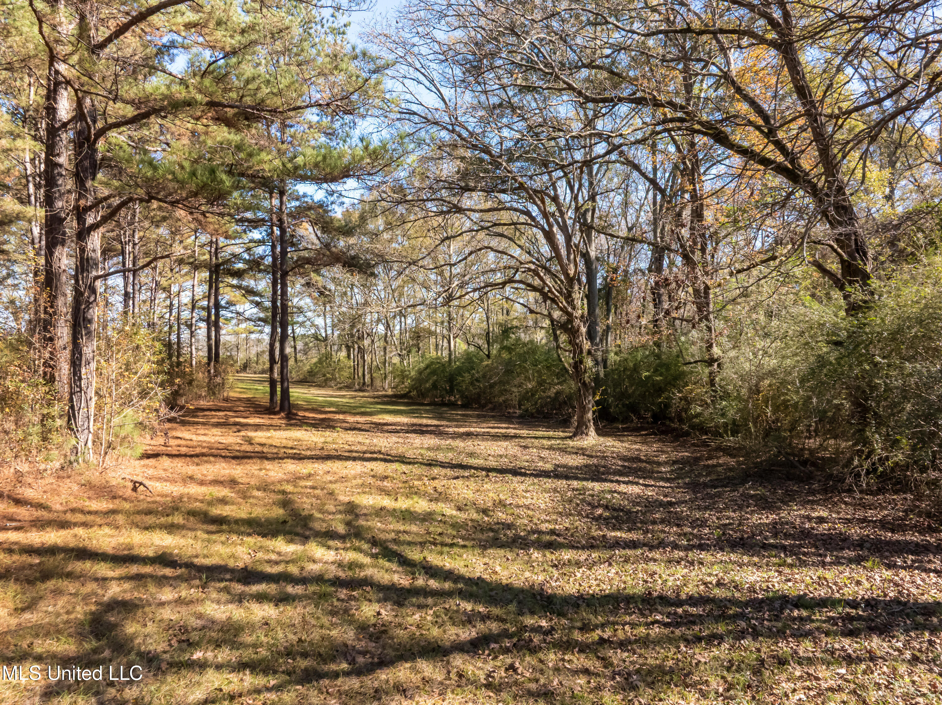 5844 N Williamsburg Road Property Photo 84