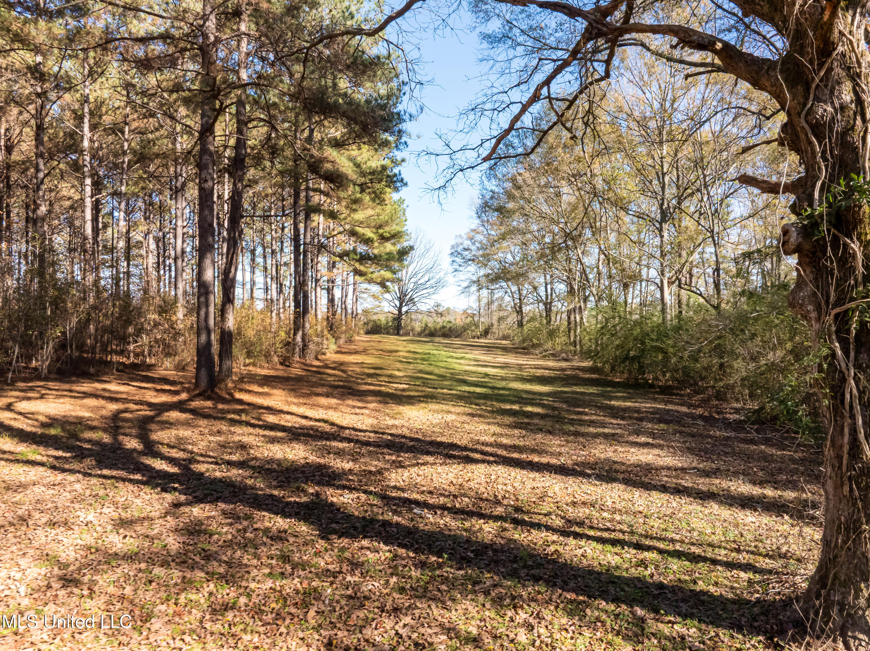 5844 N Williamsburg Road Property Photo 85