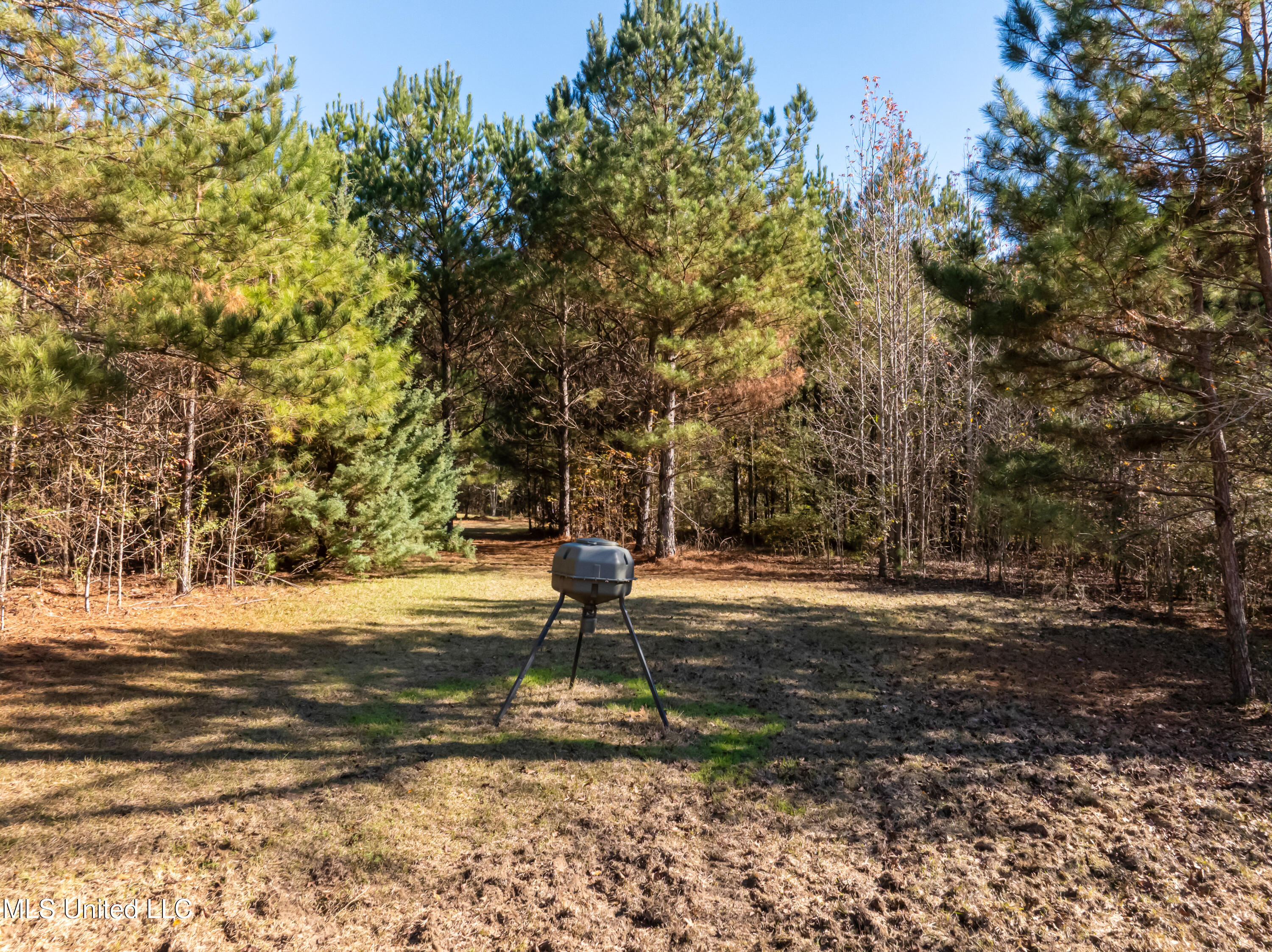 5844 N Williamsburg Road Property Photo 94