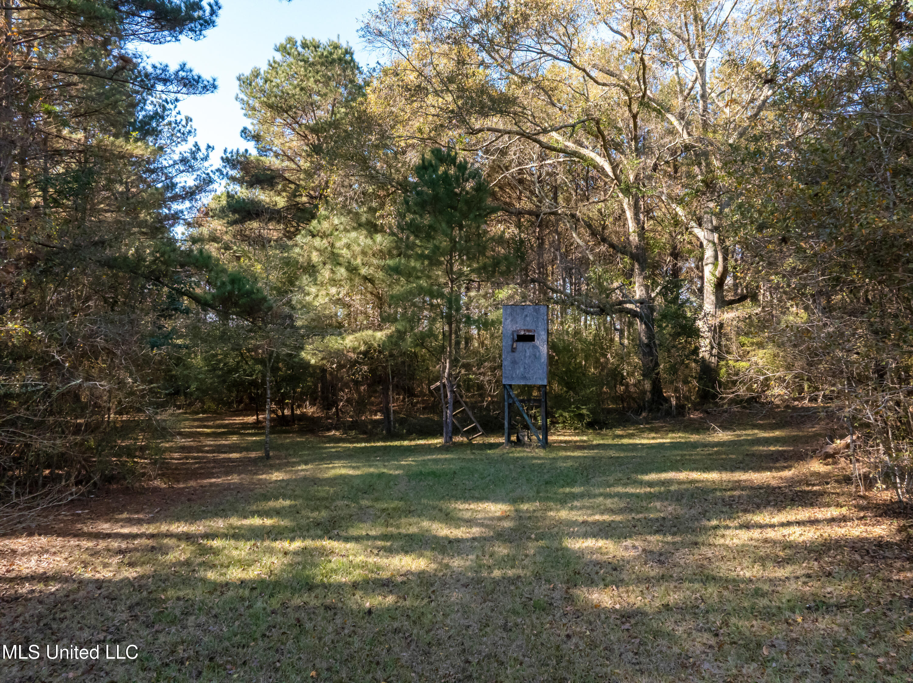 5844 N Williamsburg Road Property Photo 95