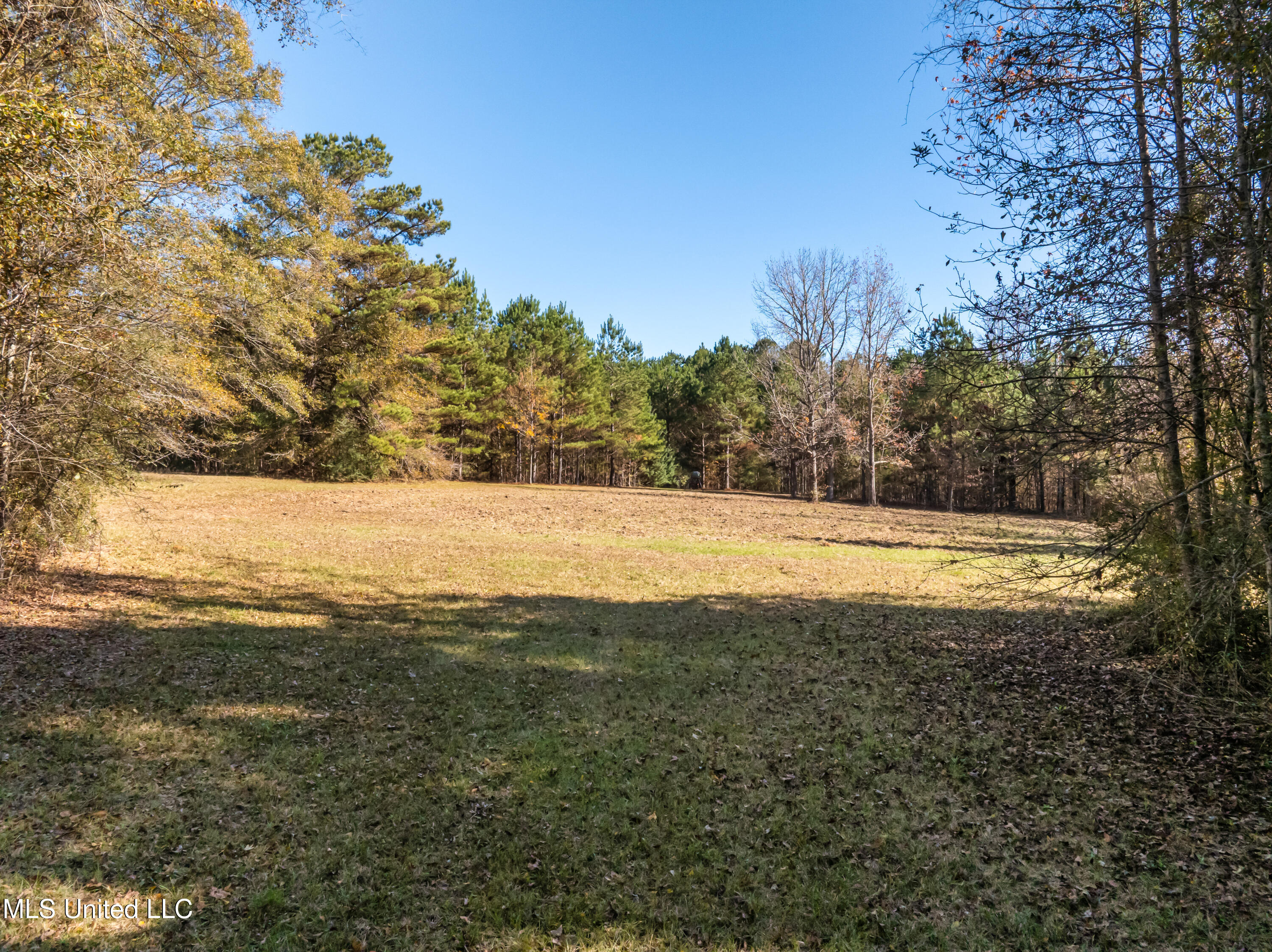 5844 N Williamsburg Road Property Photo 96