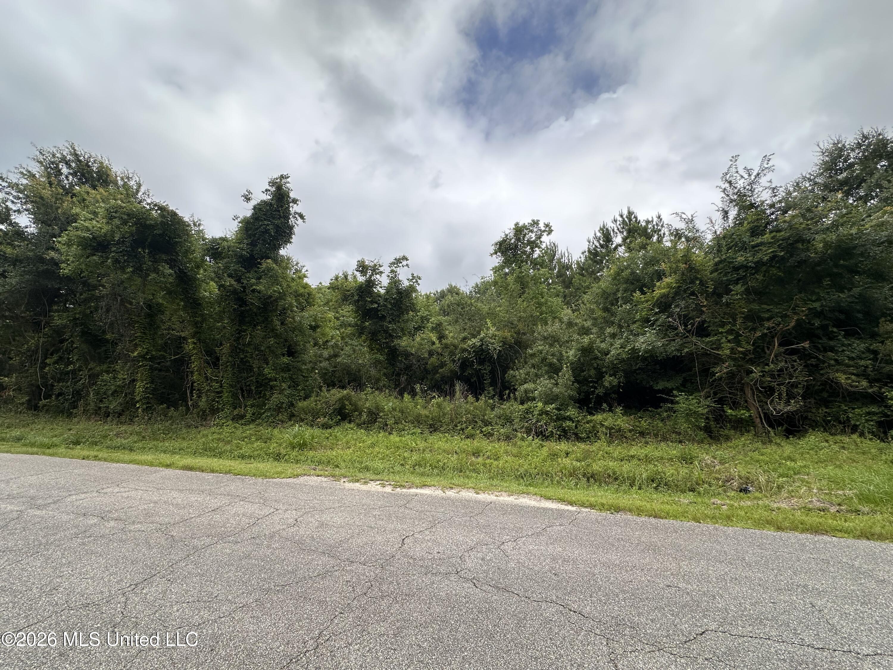 5230 Forest Avenue Property Photo 1