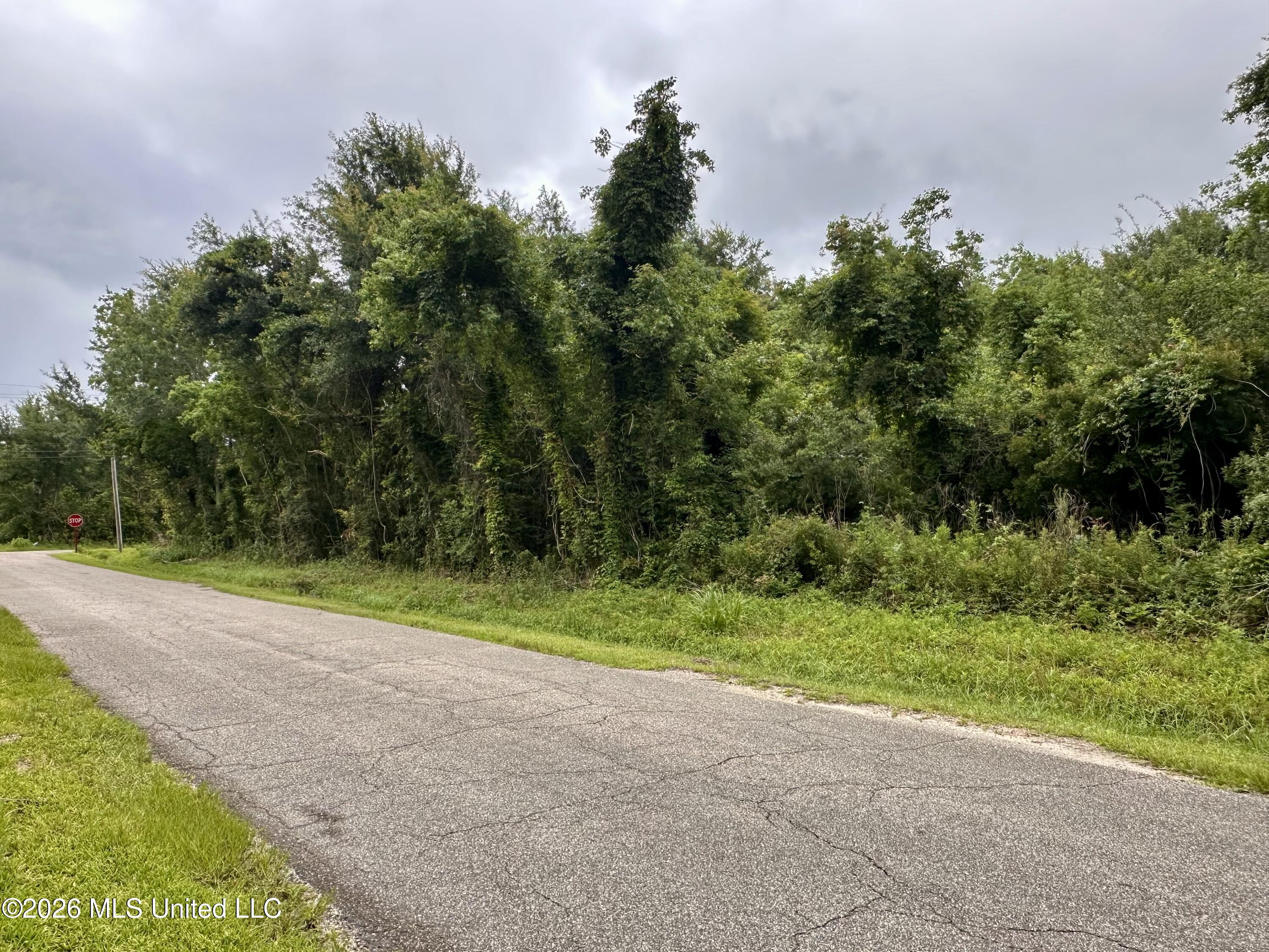 5230 Forest Avenue Property Photo 3