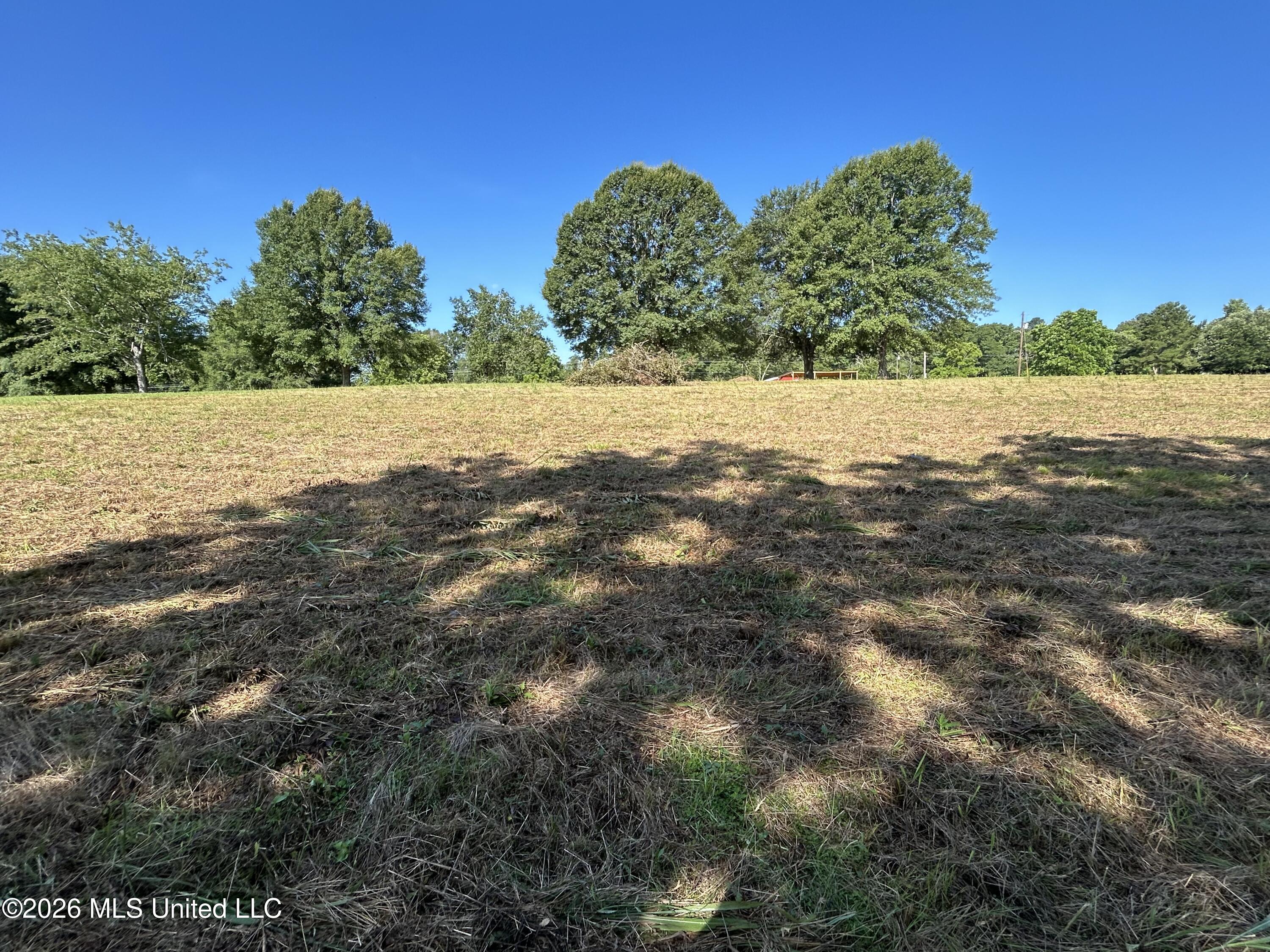 0000 Willis Cotton Road Property Photo 1