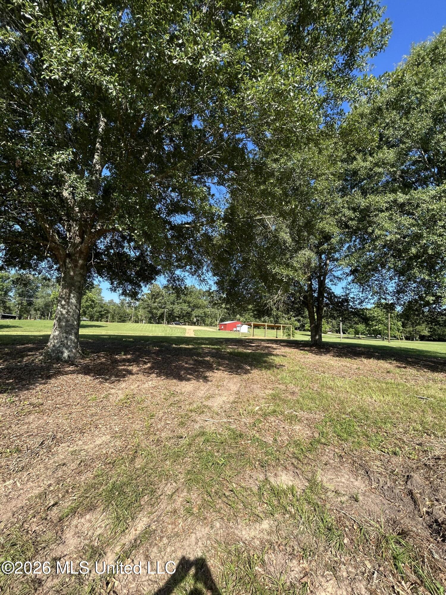 0000 Willis Cotton Road Property Photo 10
