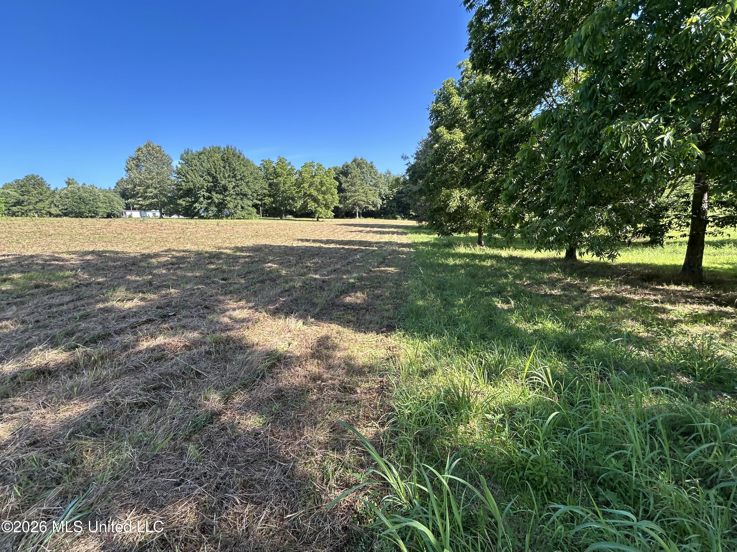 0000 Willis Cotton Road Property Photo 11