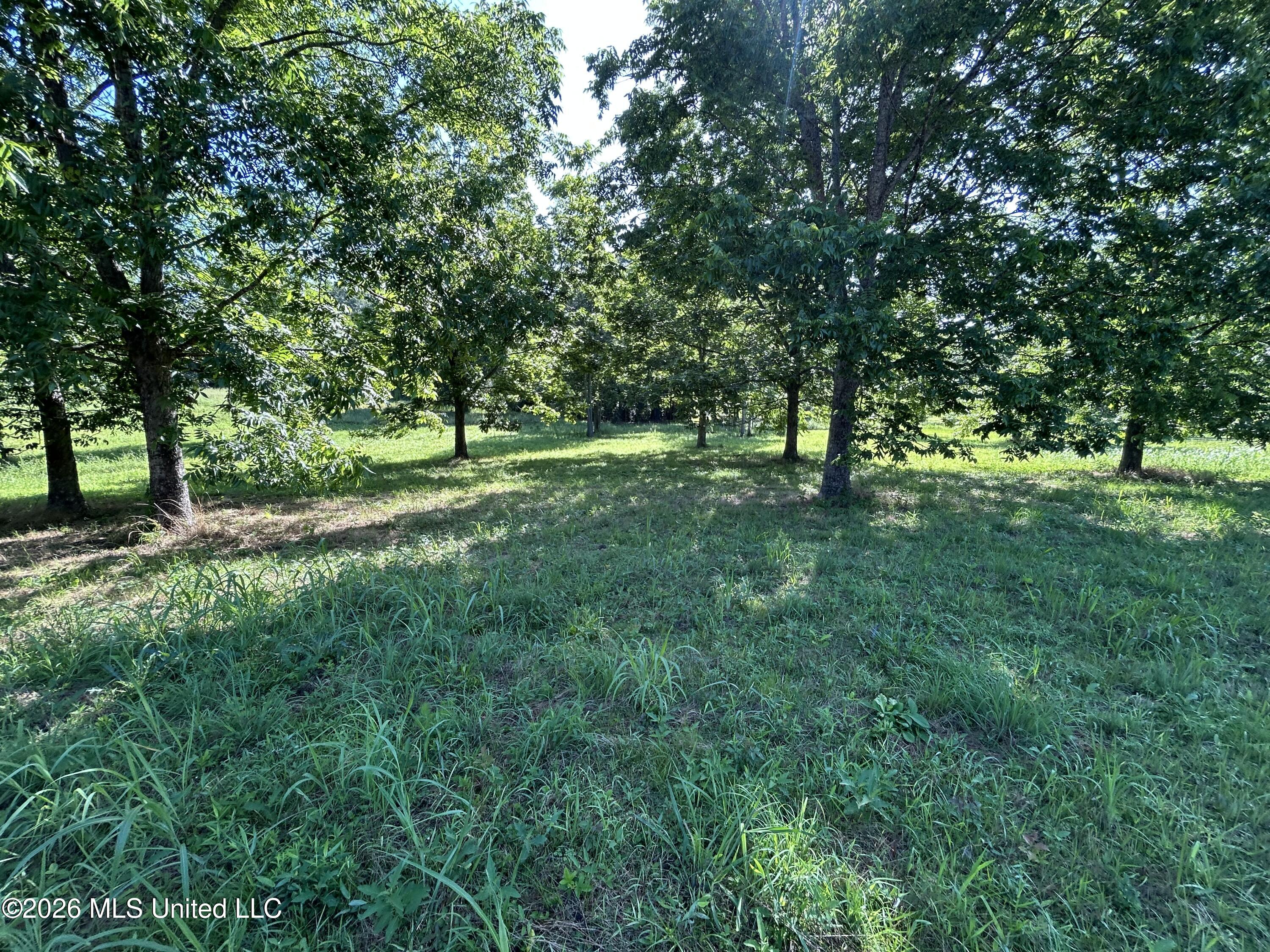 0000 Willis Cotton Road Property Photo 12
