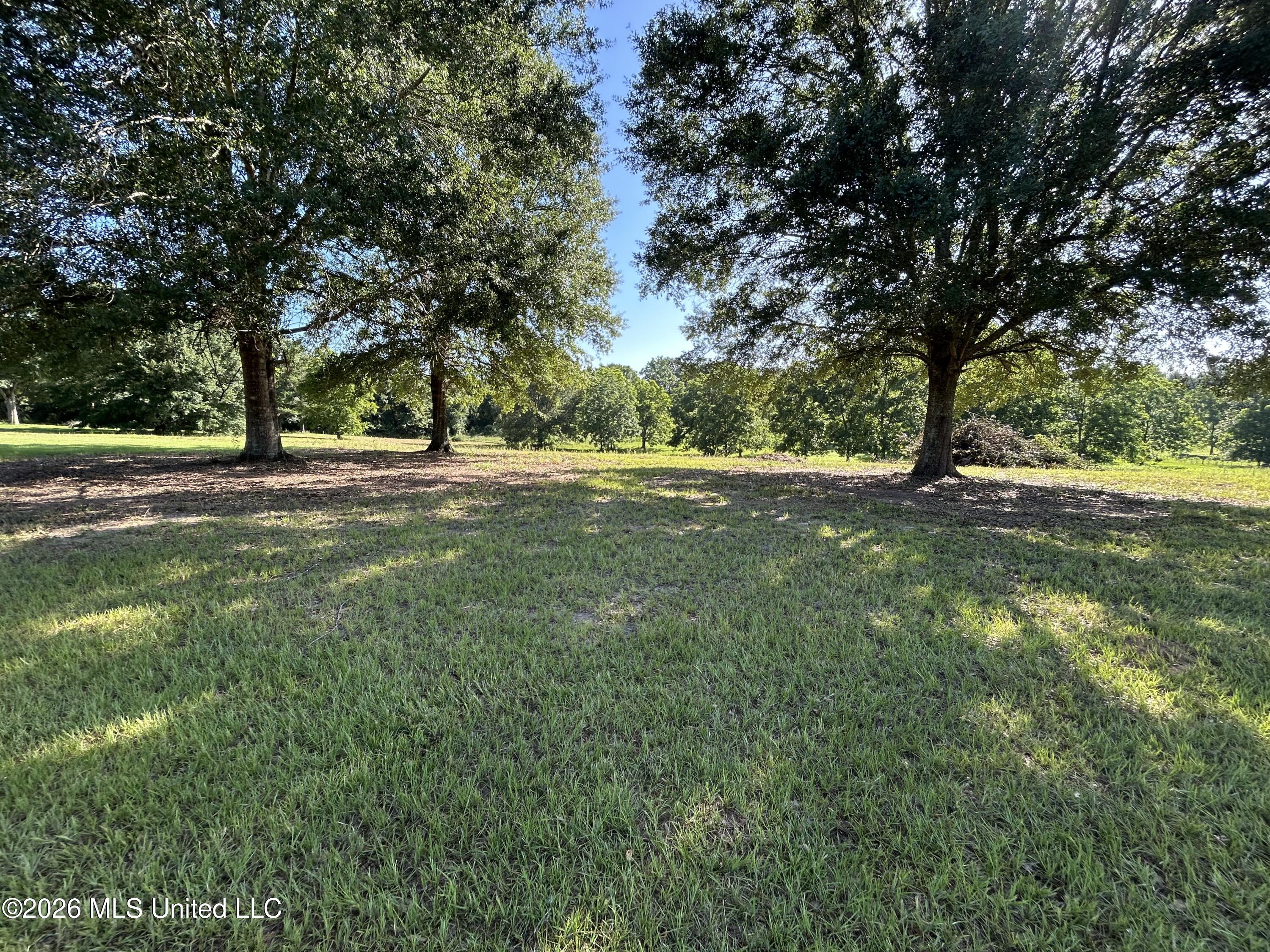0000 Willis Cotton Road Property Photo 16