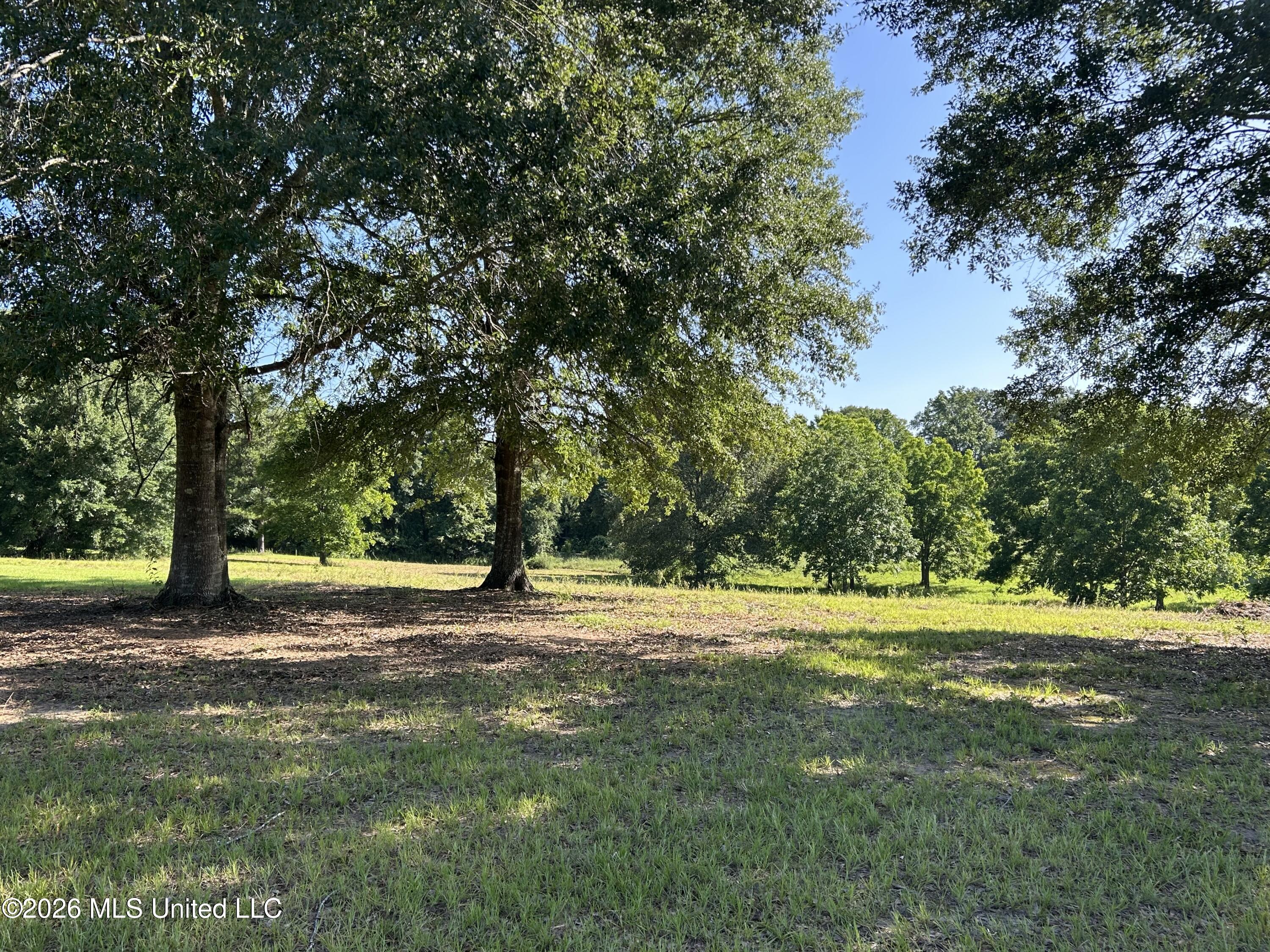 0000 Willis Cotton Road Property Photo 17