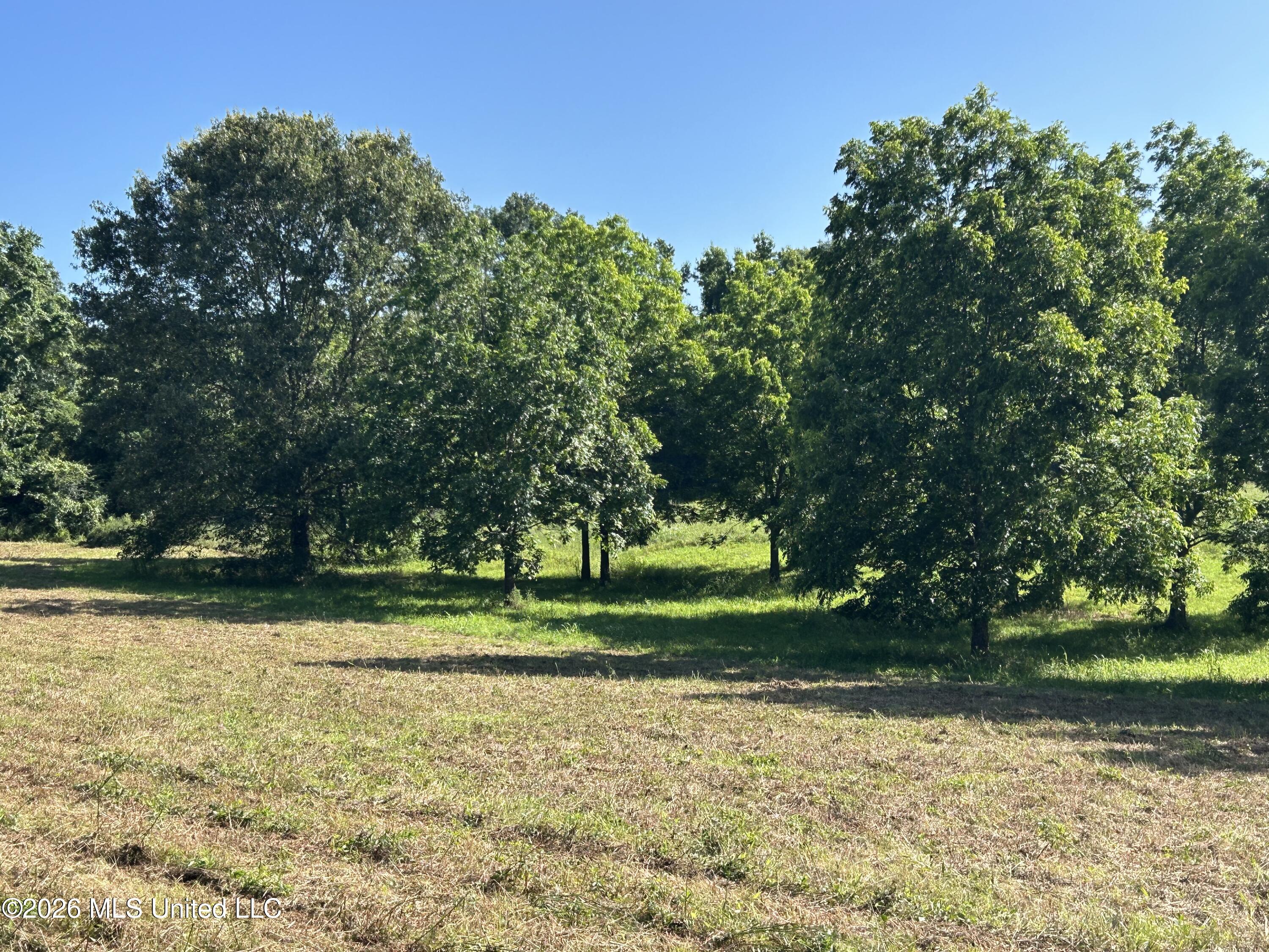 0000 Willis Cotton Road Property Photo 19