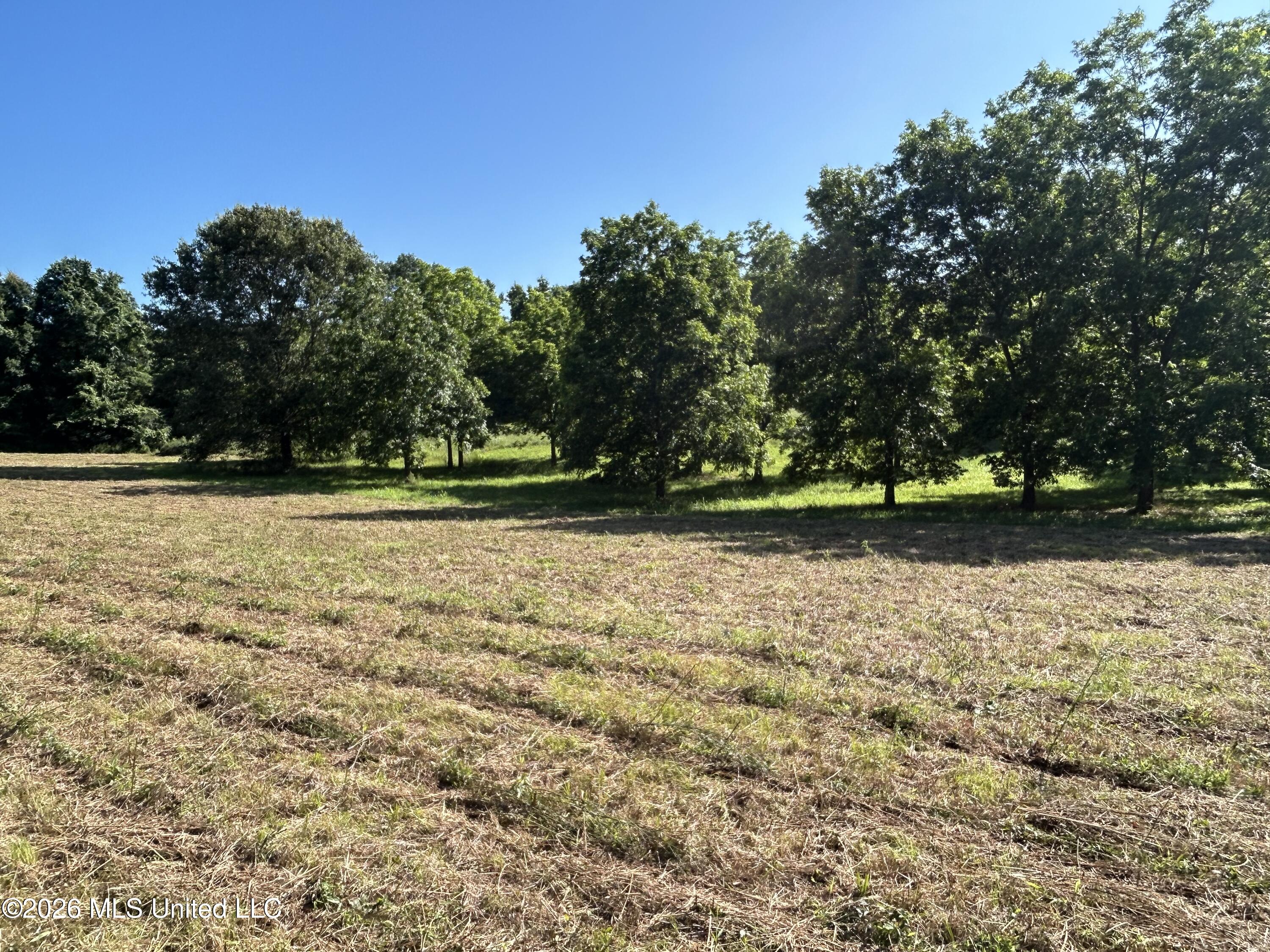 0000 Willis Cotton Road Property Photo 20
